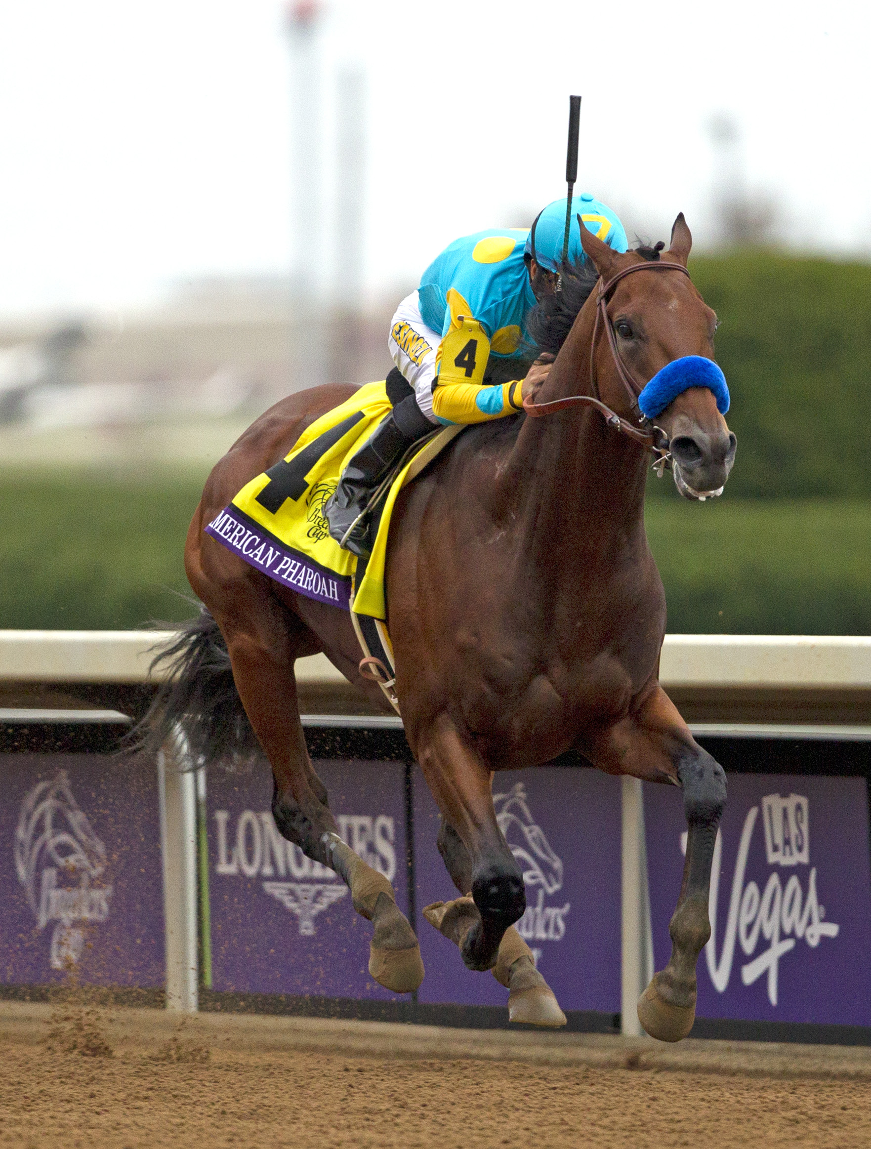 American Pharoah