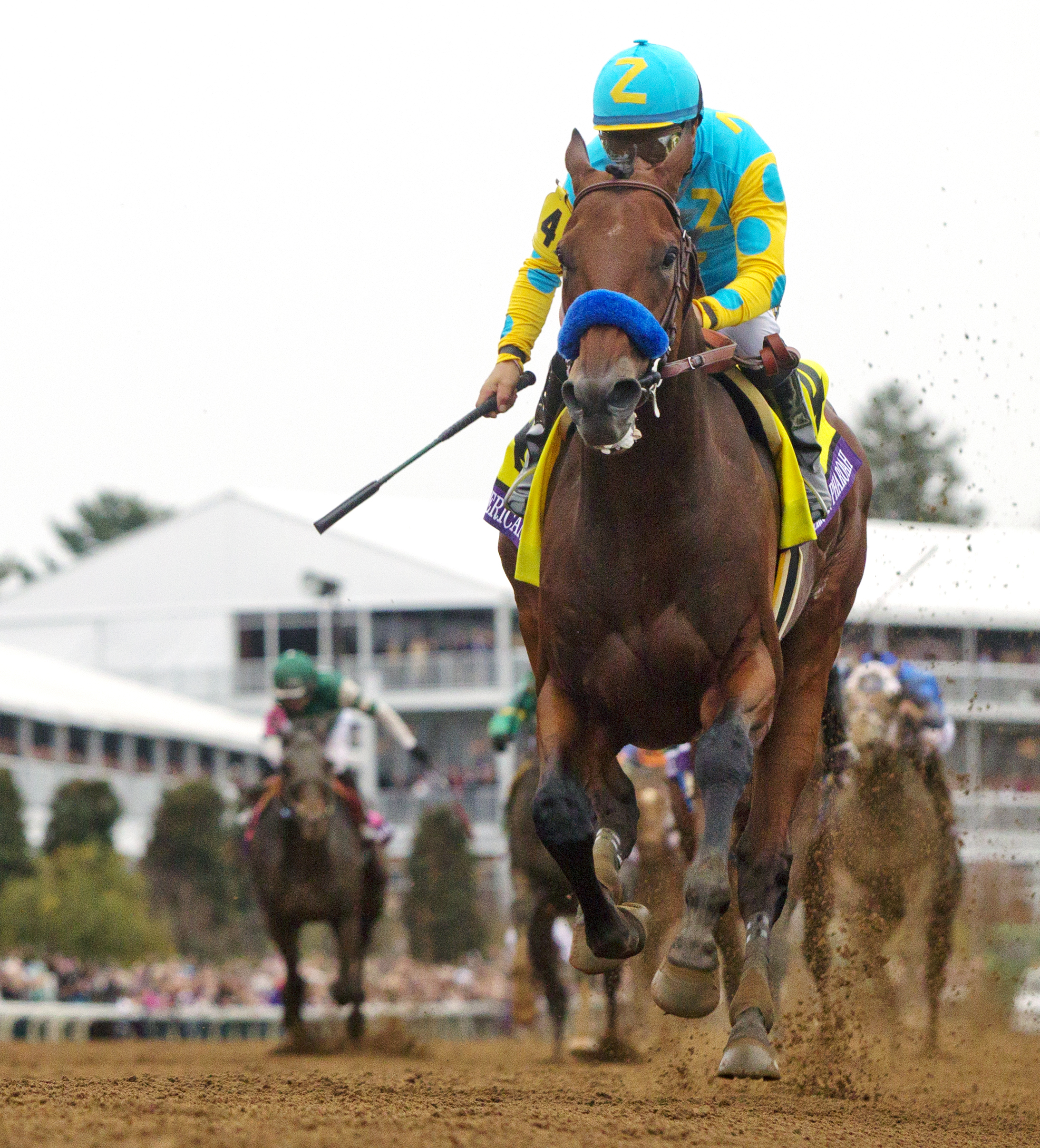 American Pharoah wins the Breeders' Cup Classic