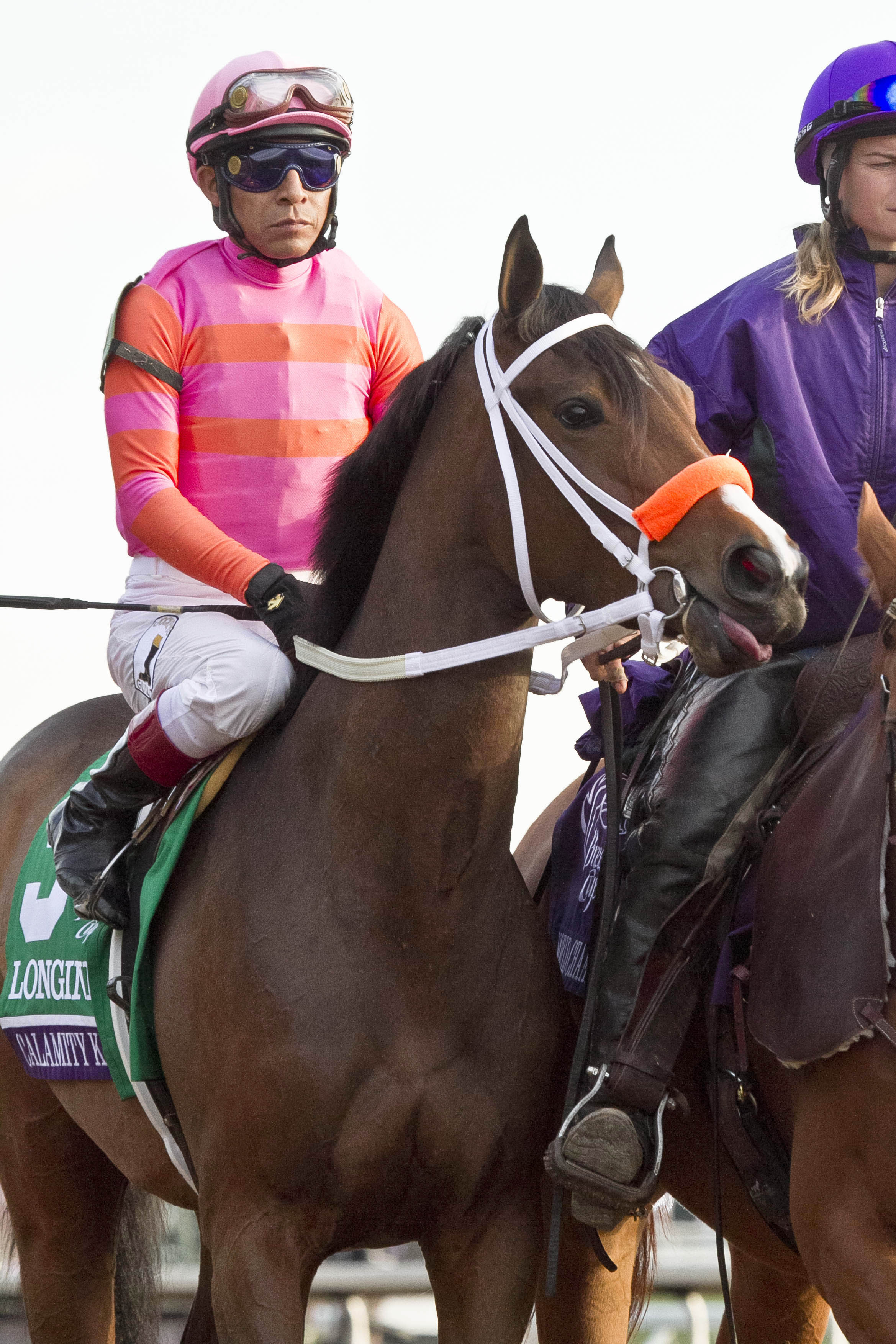 Calamity Kate at the Breeders' Cup Distaff