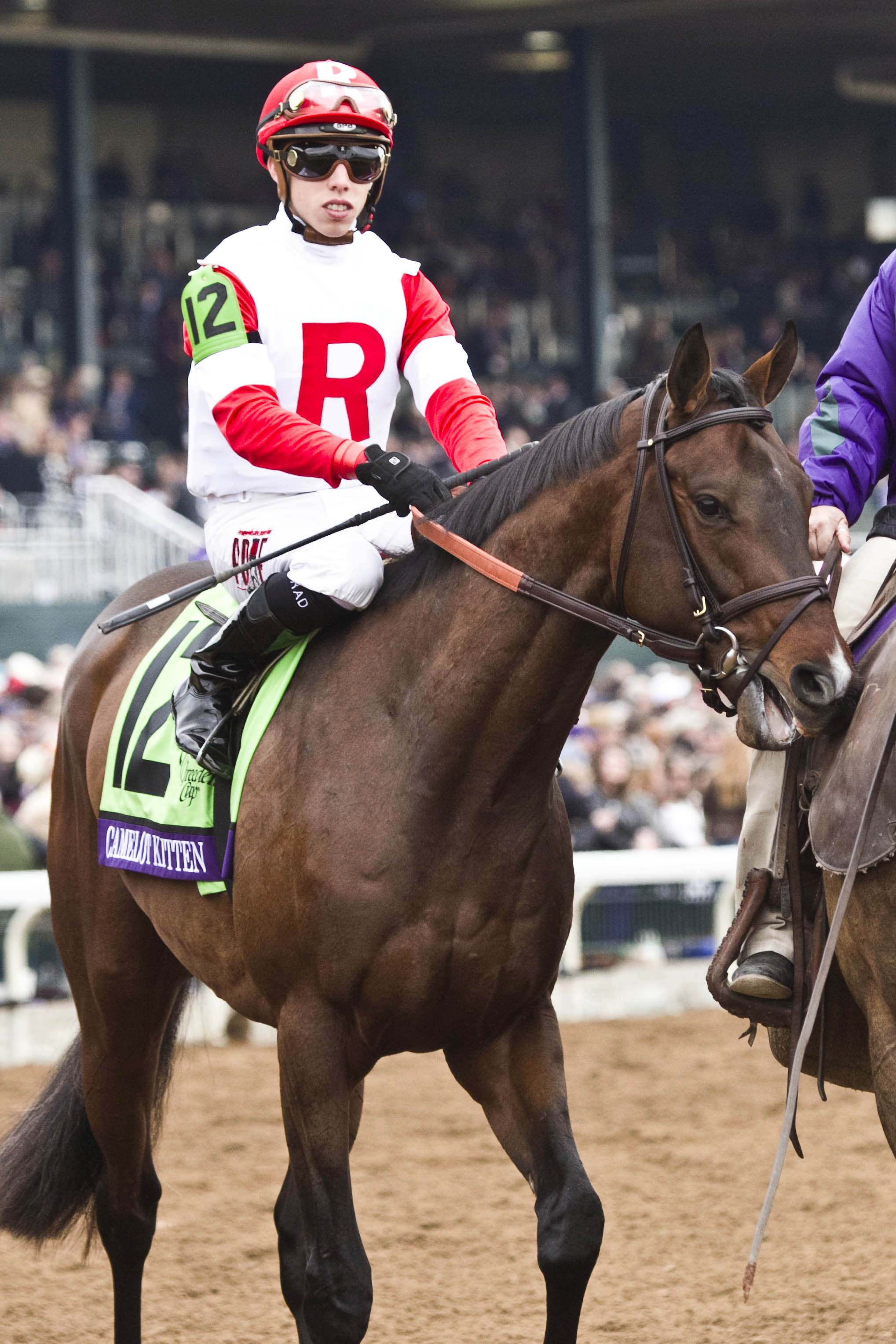 Camelot Kitten at the Breeders' Cup Juvenile Turf
