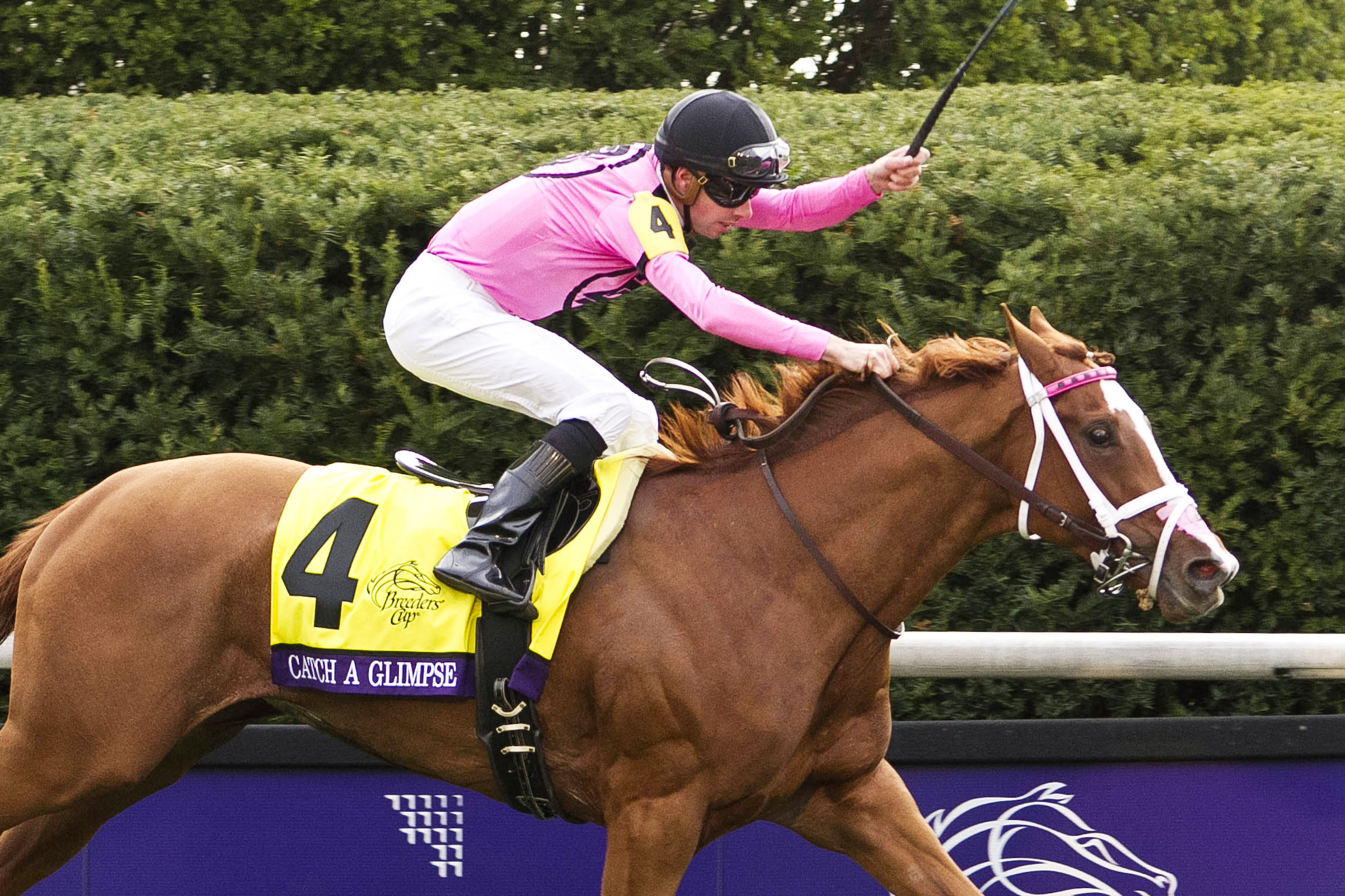 Catch a Glimpse wins the Breeders' Cup Juvenile Fillies Turf