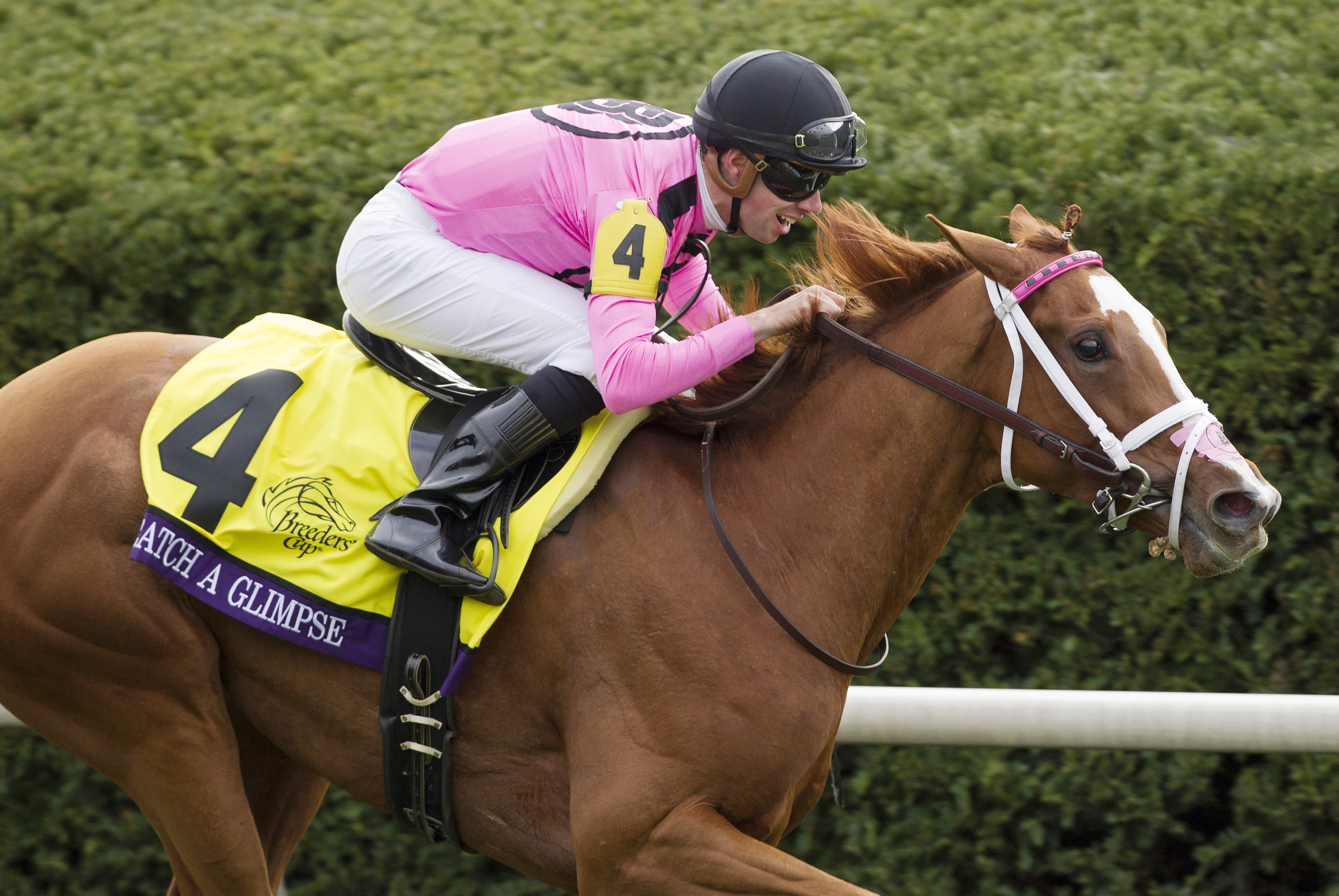 Catch a Glimpse wins the Breeders' Cup Juvenile Fillies Turf Stakes