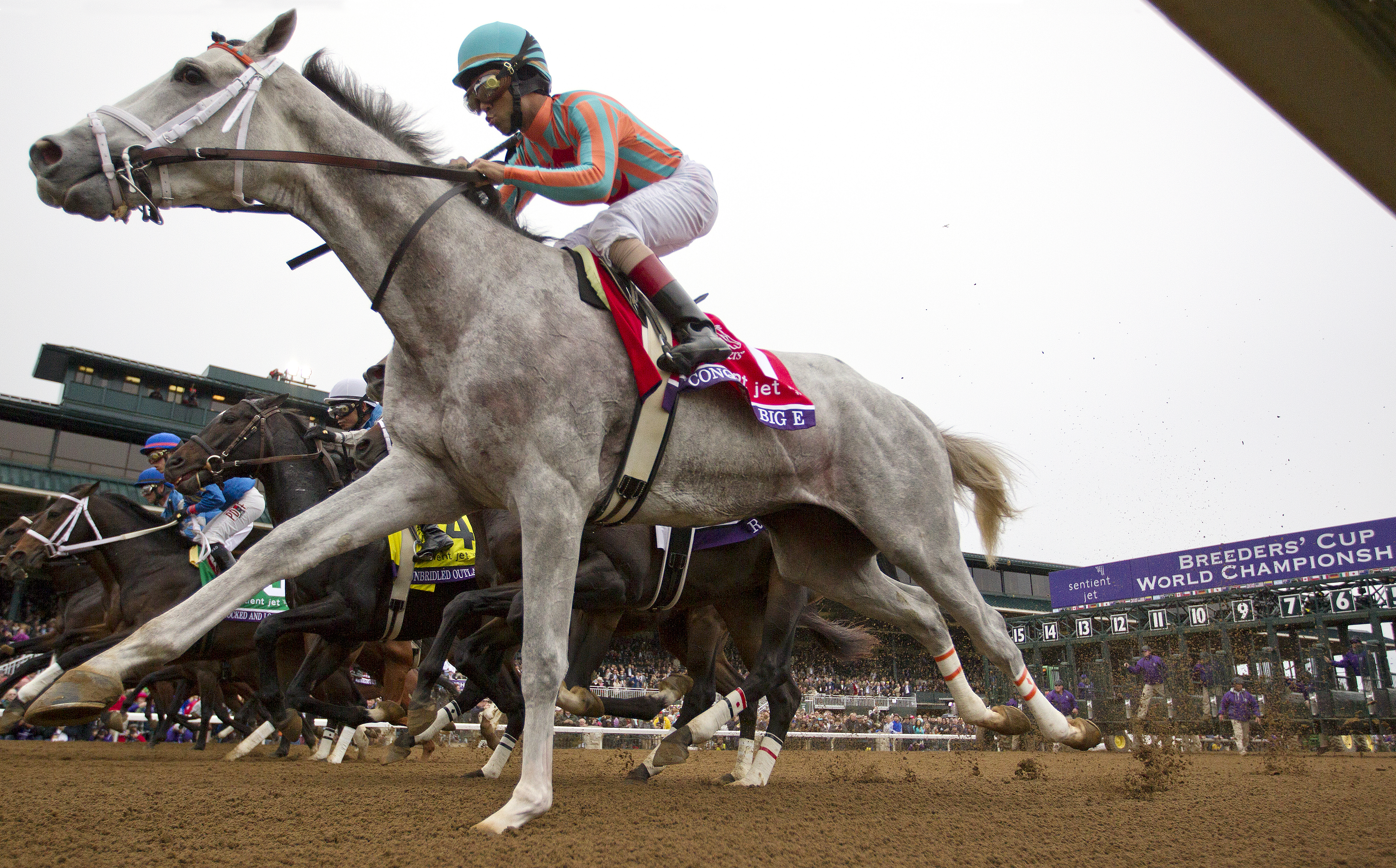 Conquest Big E at the start of the Breeders' Cup Juvenile