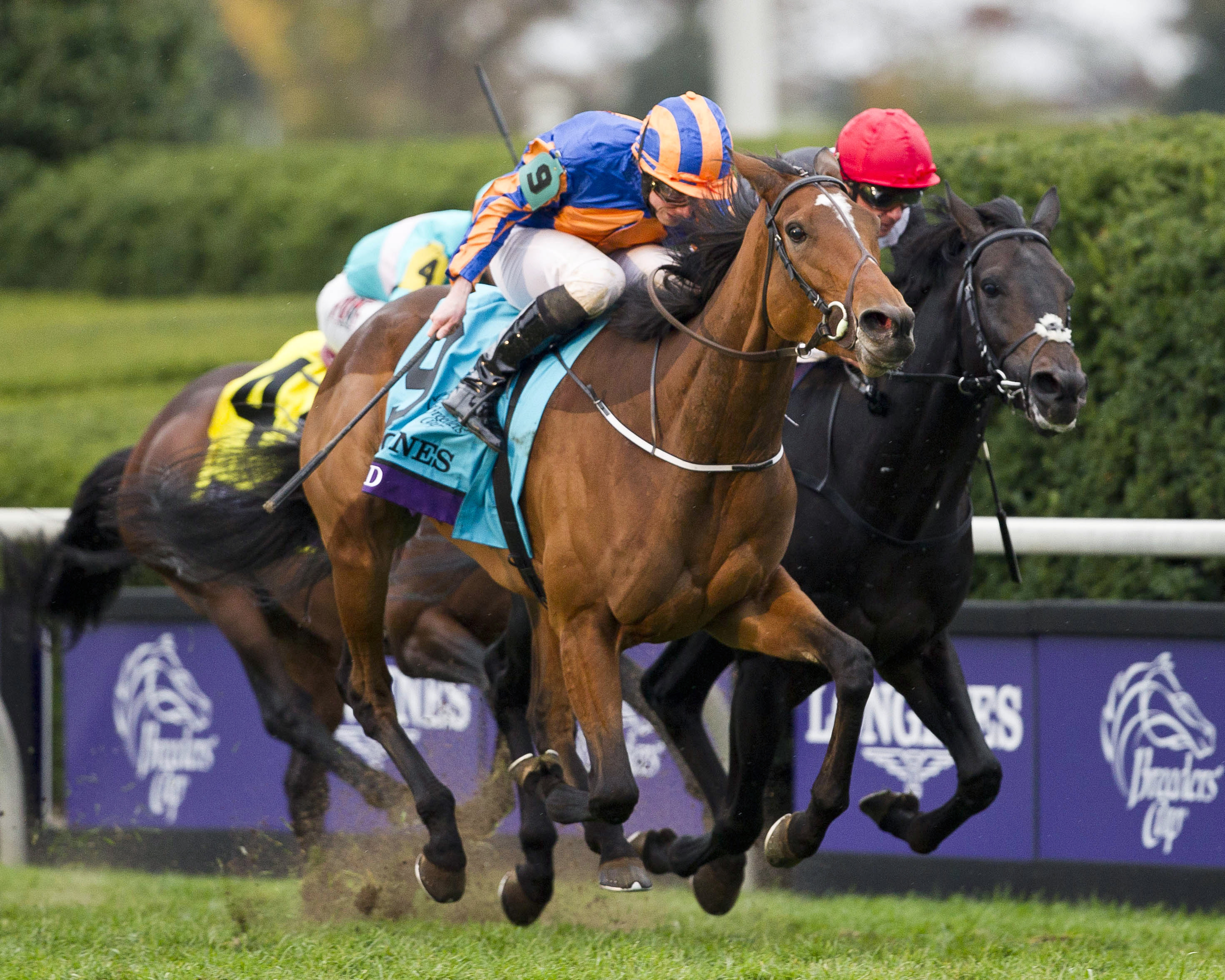 Found wins the 2015 Breeders' Cup Turf