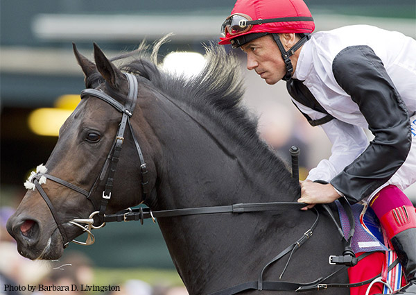 Golden Horn