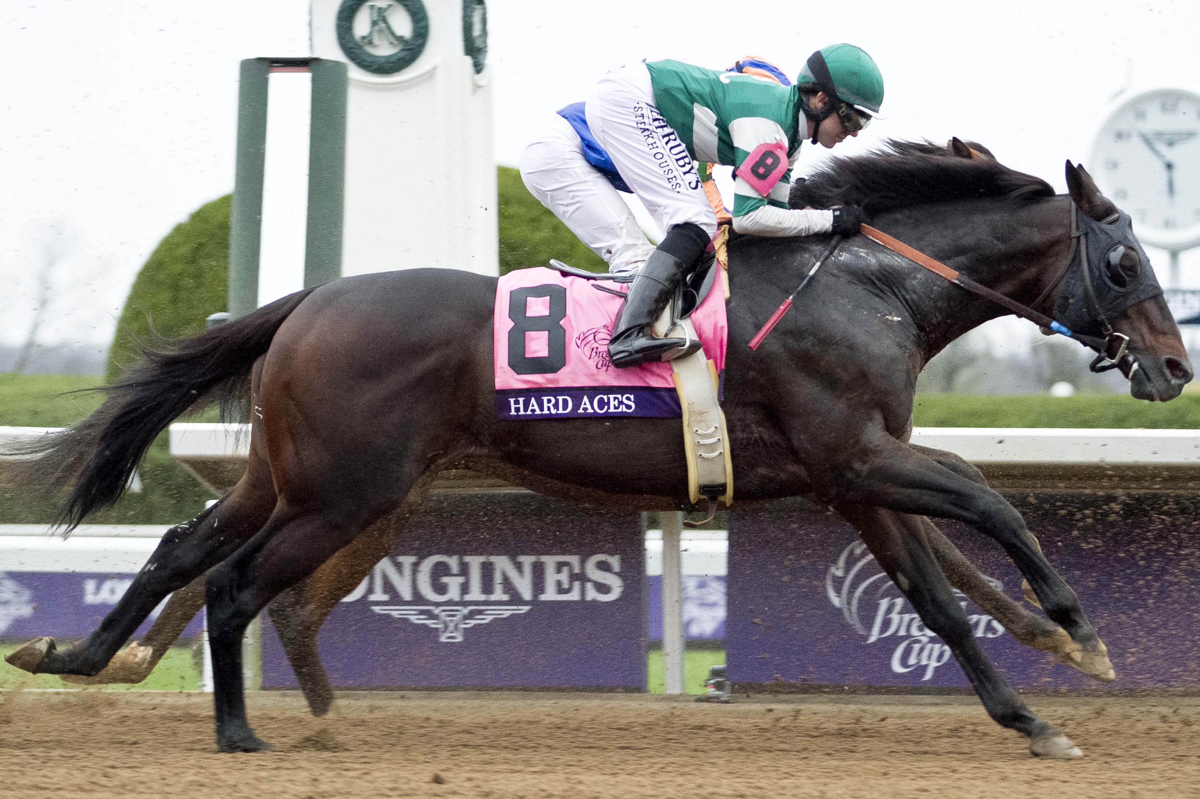 Hard Aces finishes sixth in the 2015 Breeders' Cup Classic
