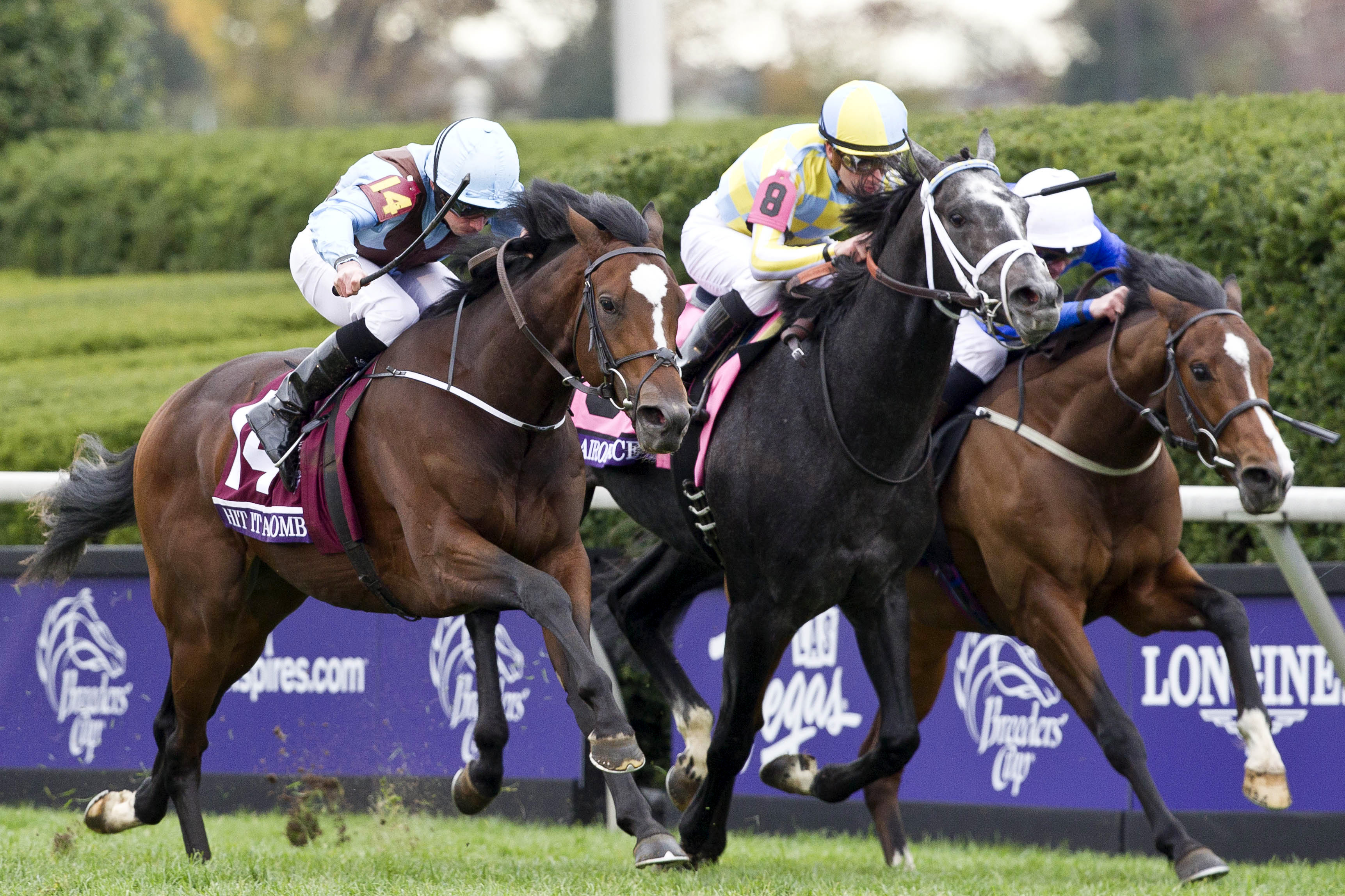 Hit It A Bomb wins the Breeders' Cup Juvenile Turf