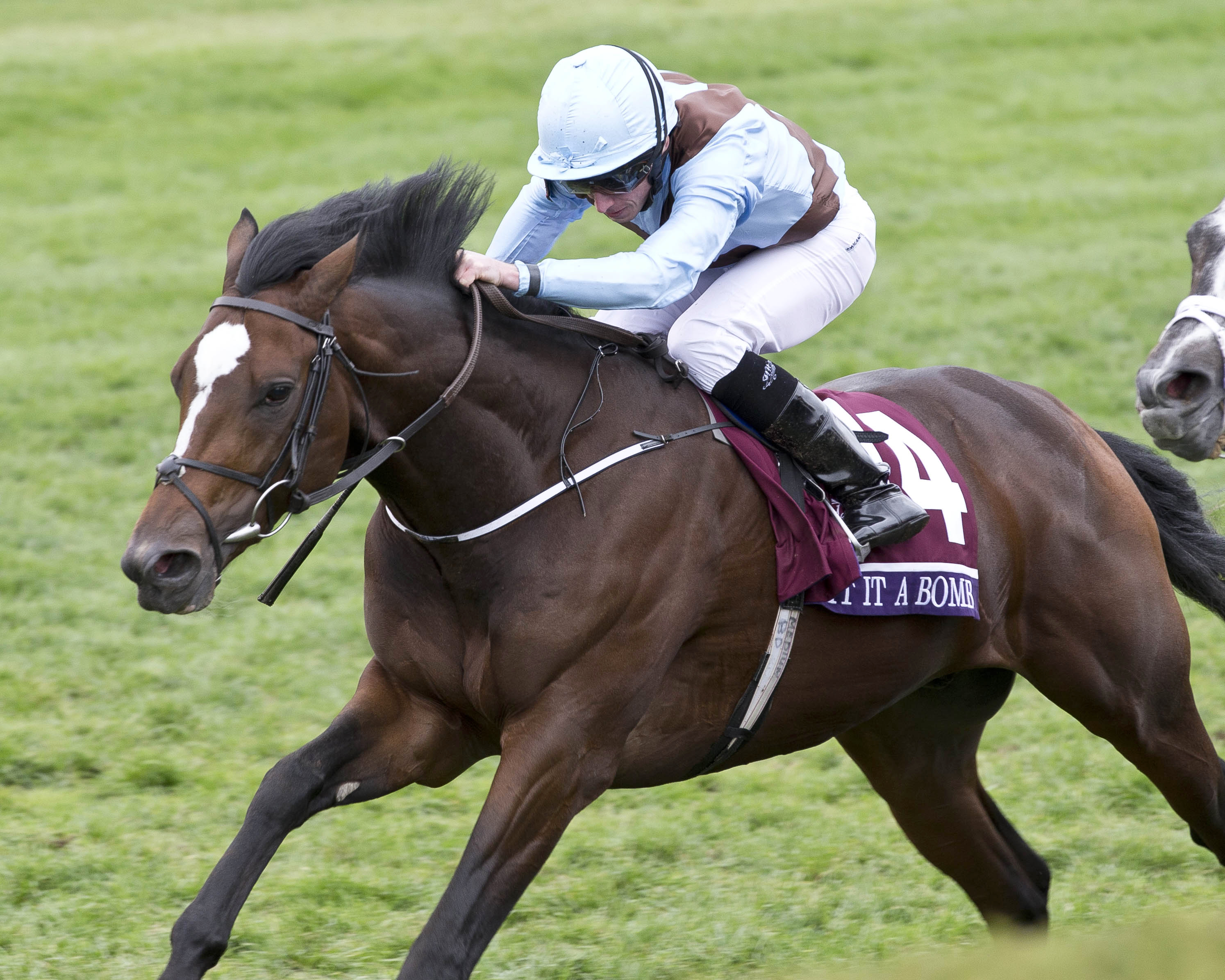 Hit It a Bomb wins the 2015 Breeders' Cup Juvenile Turf