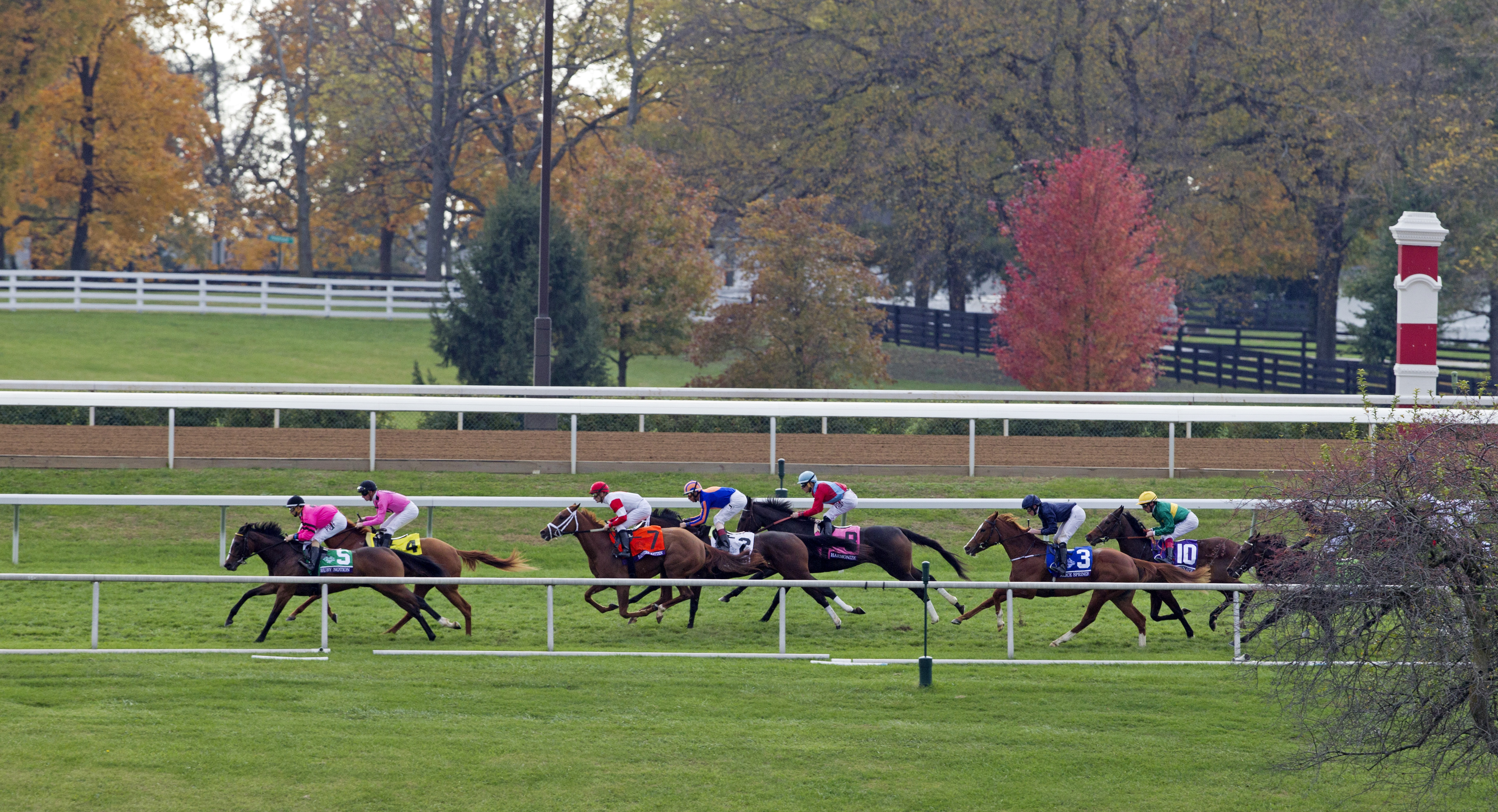 Turf racing at Keeneland