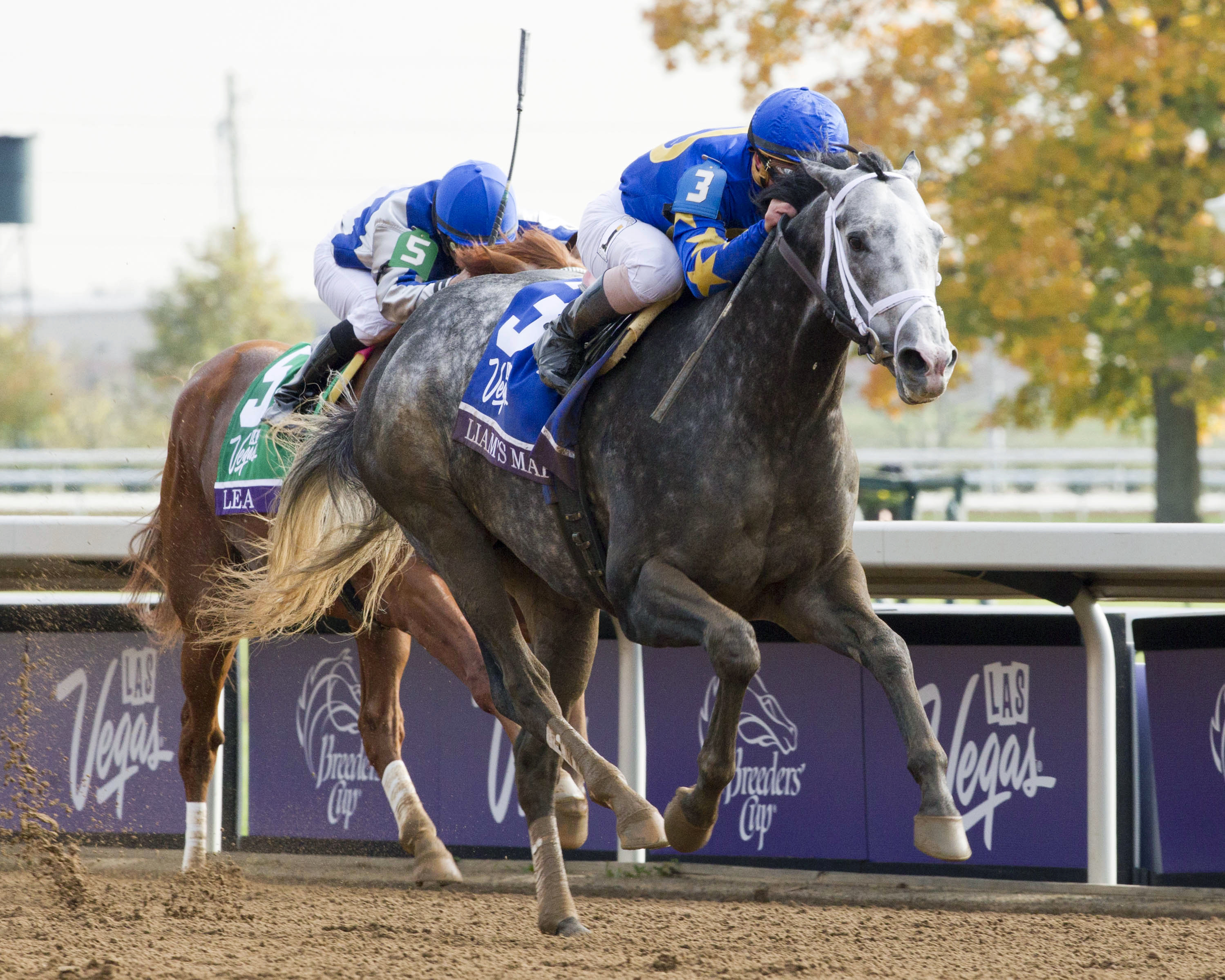 Liam's Map wins the Breeders' Cup Dirt Mile