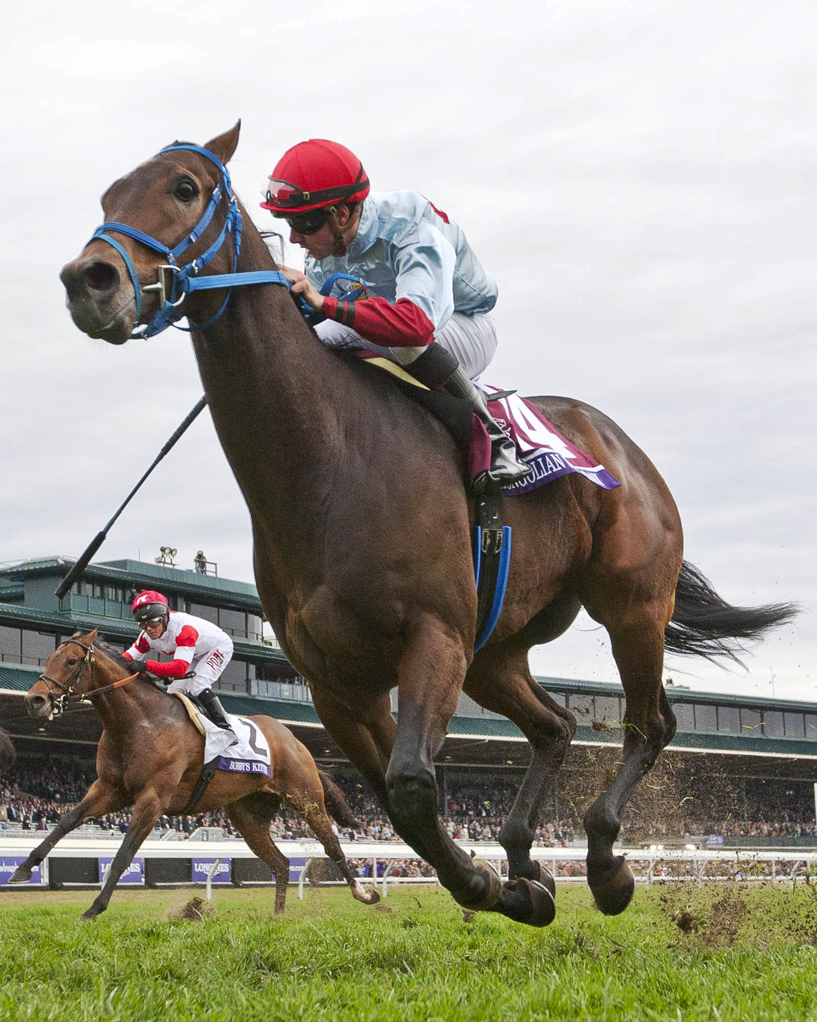 Mongolian Saturday wins the Breeders' Cup Turf Sprint