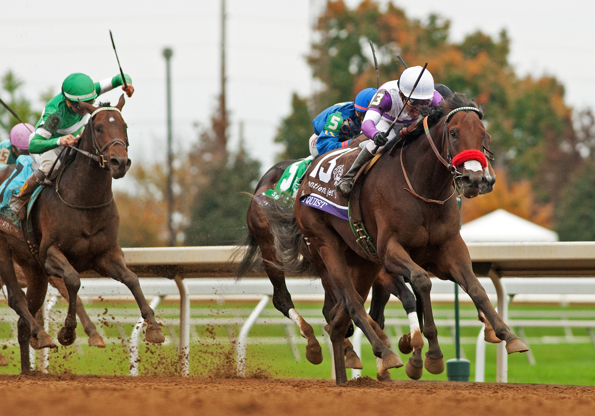 Nyquist wins the Breeders' Cup Juvenile