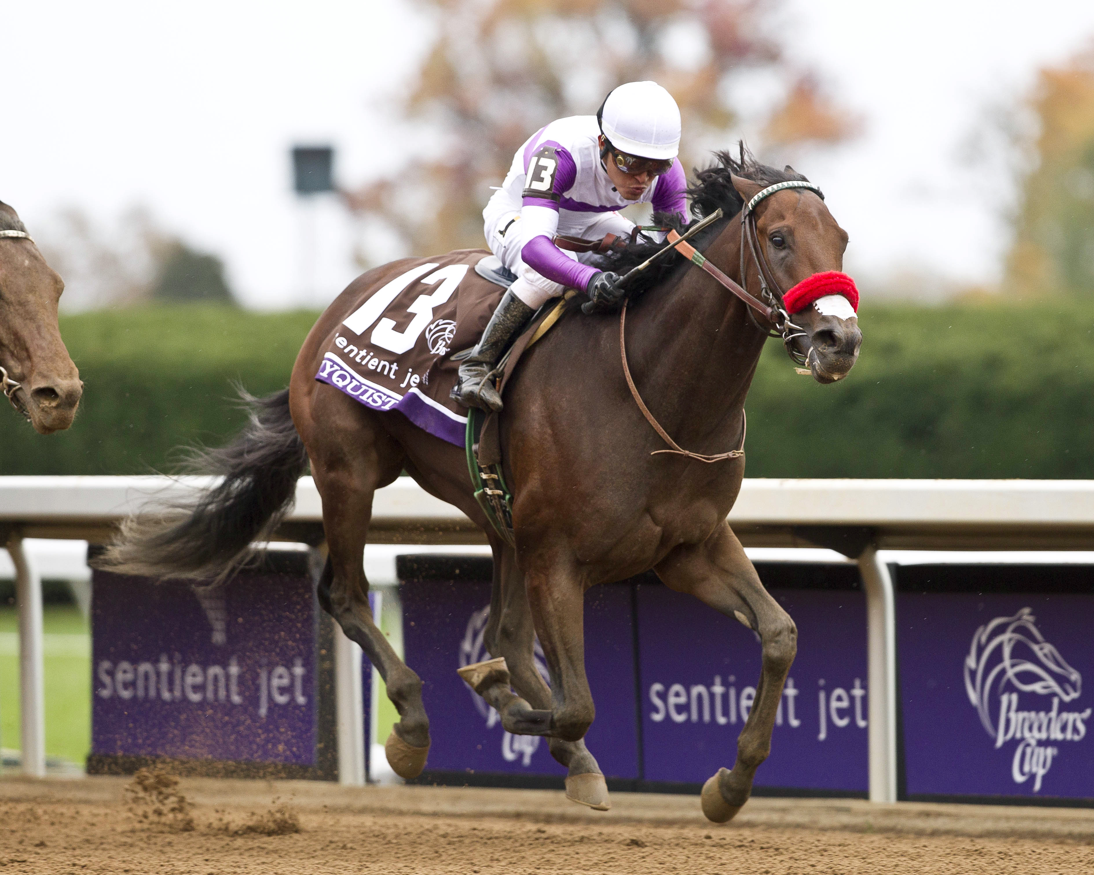 Nyquist wins the Breeders' Cup Juvenile