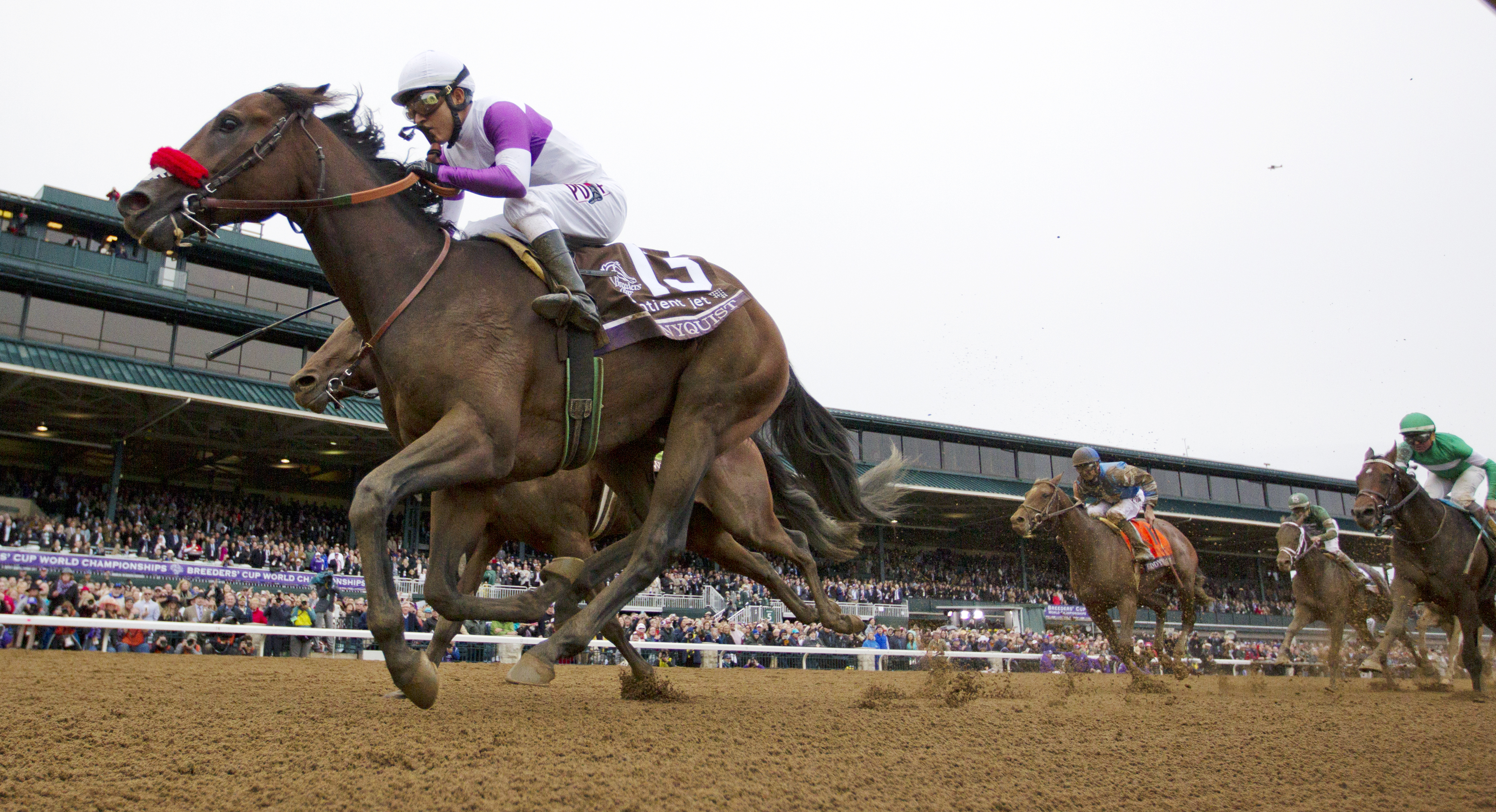 Nyquist wins the Breeders' Cup Juvenile