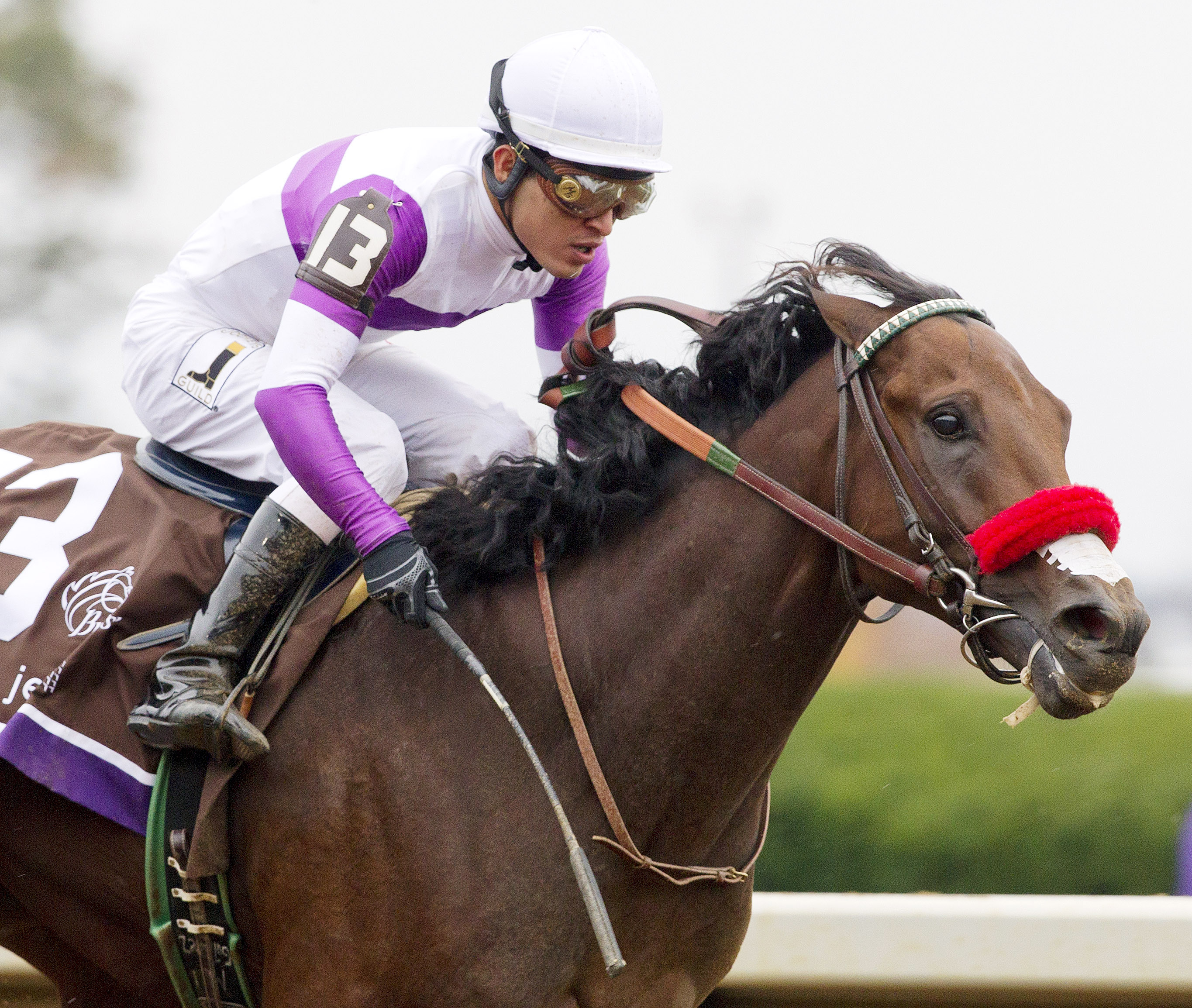 Nyquist wins the Breeders' Cup Juvenile Stakes