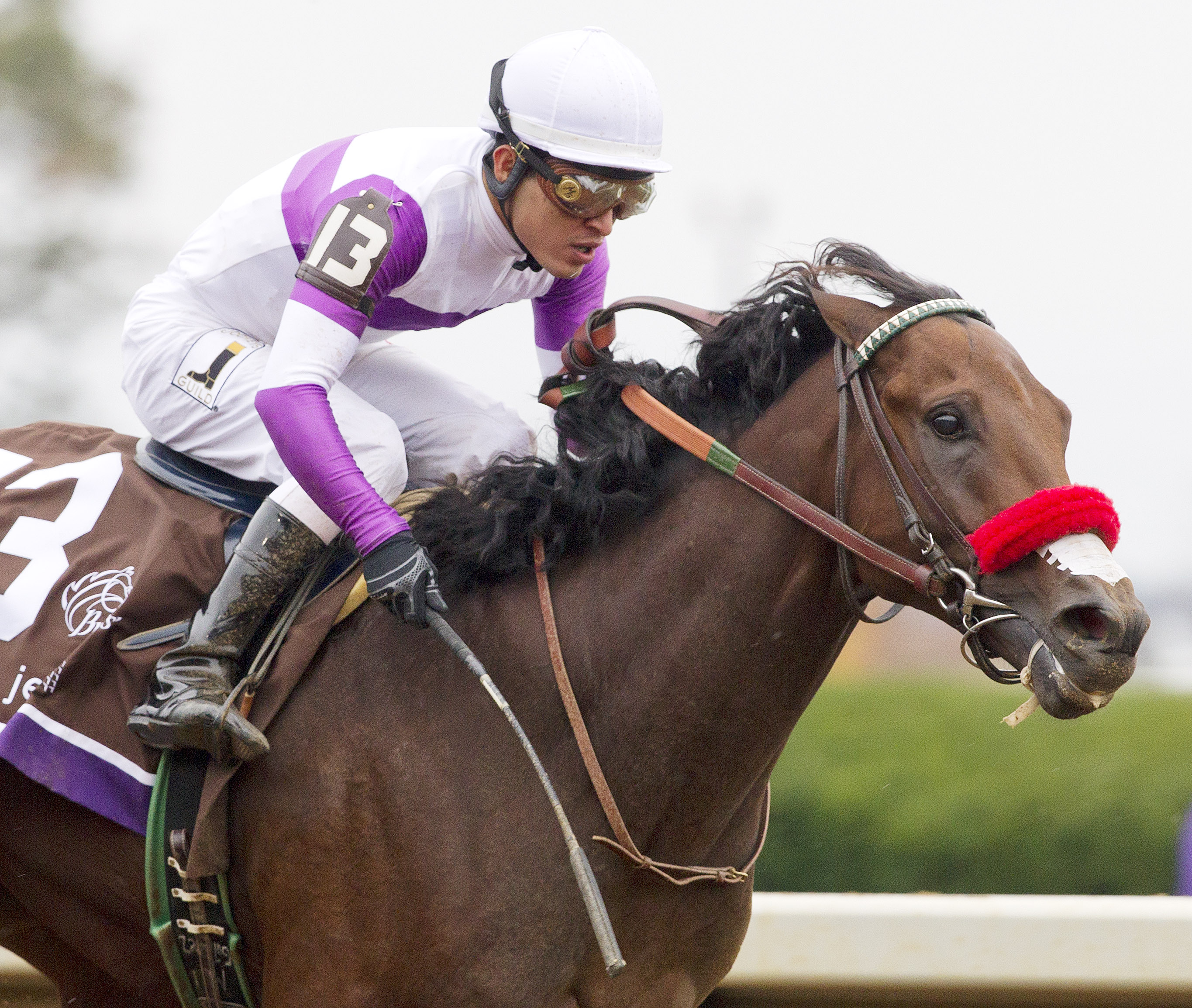 Nyquist wins the 2015 Breeders' Cup Juvenile
