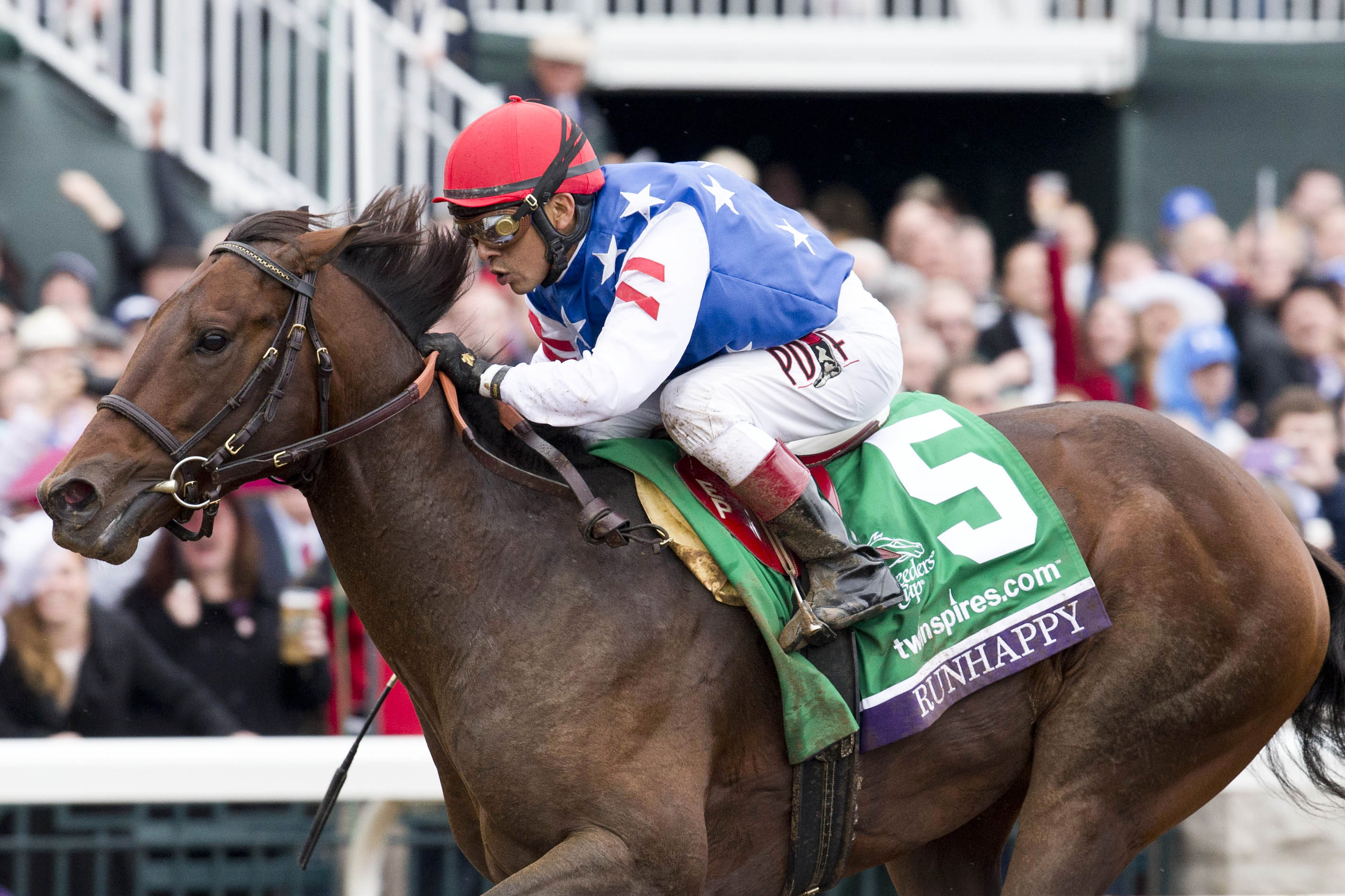 Runhappy wins the Breeders' Cup Sprint