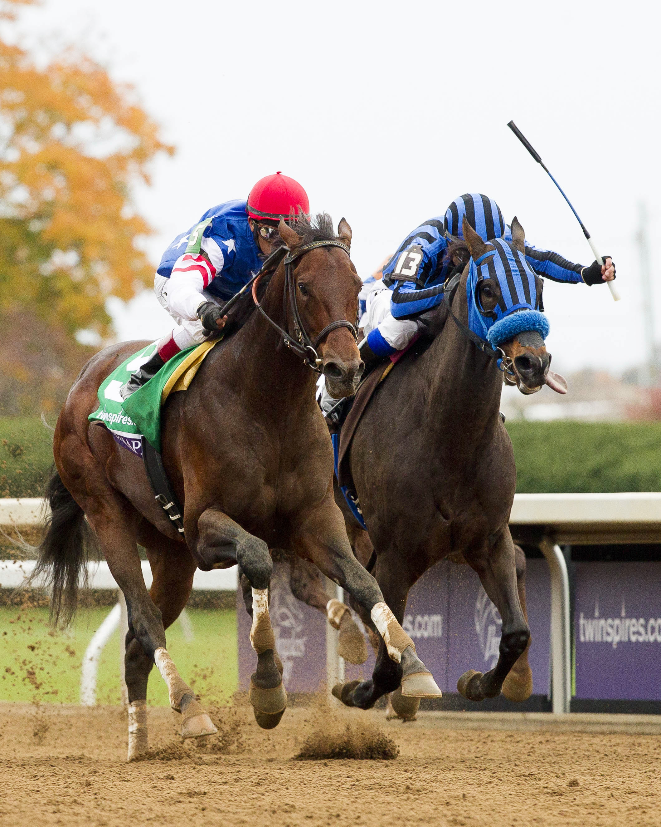 Runhappy wins the Breeders' Cup Sprint