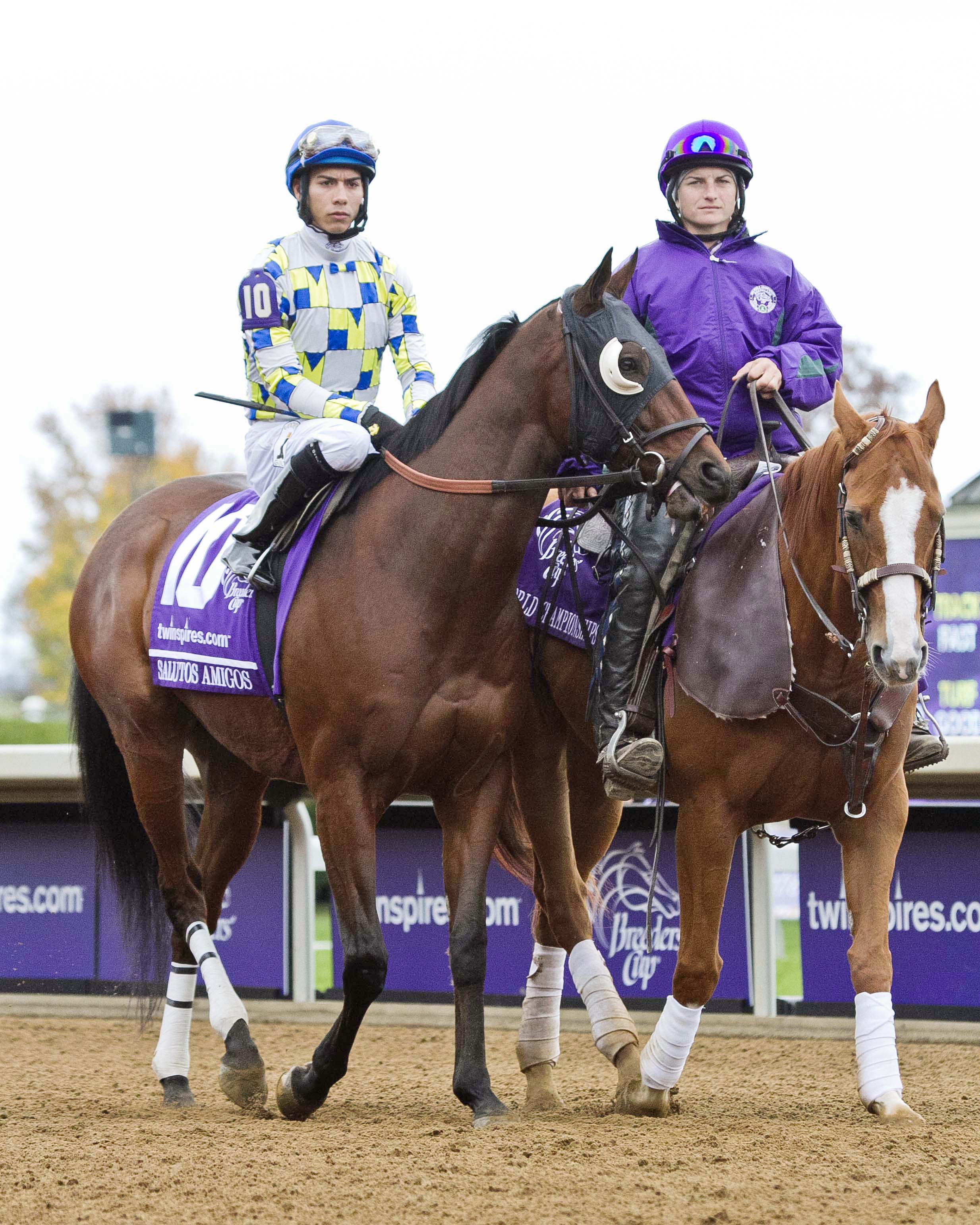 Salutos Amigos at Breeders' Cup