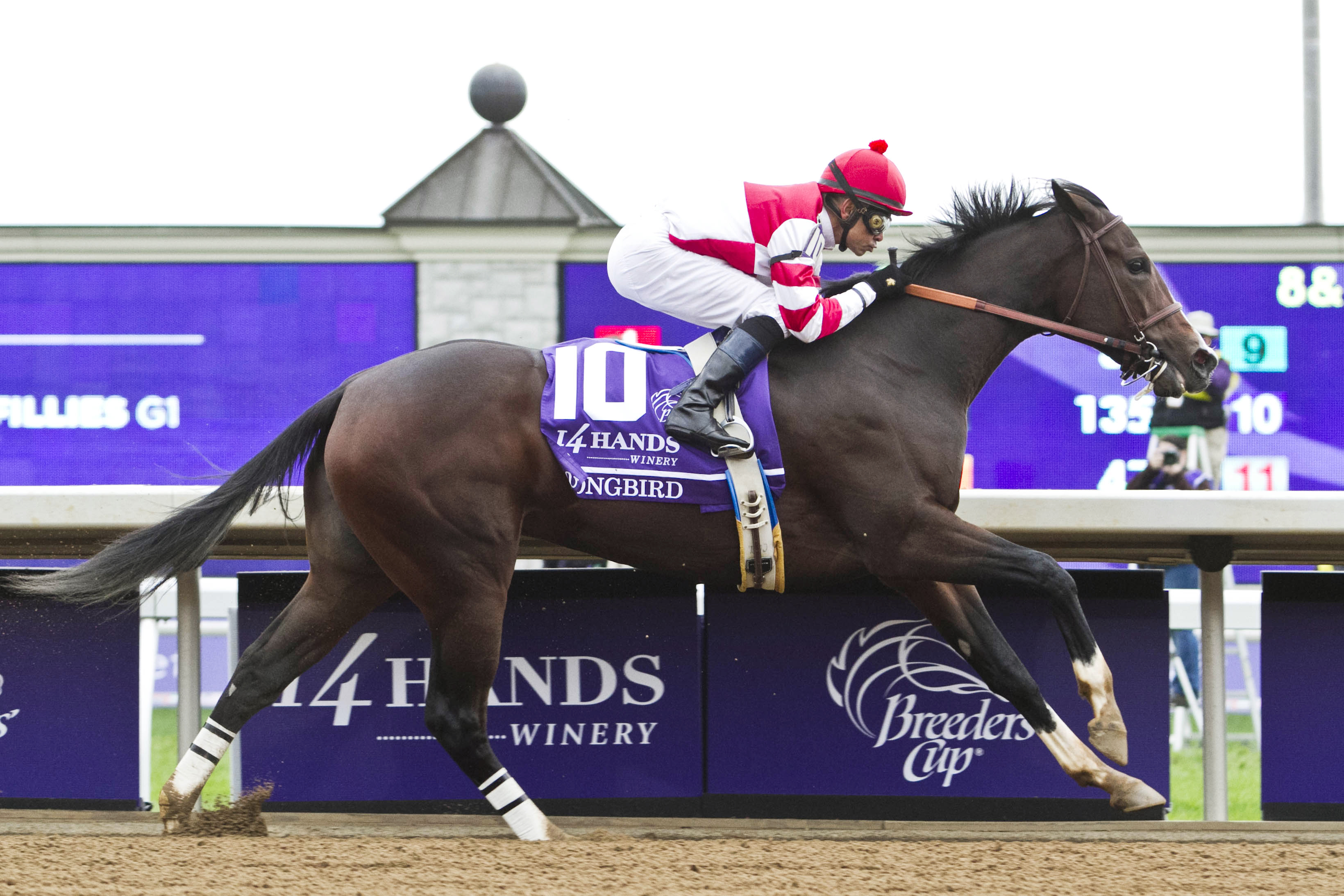 Songbird wins the Breeders' Cup Juvenile Fillies