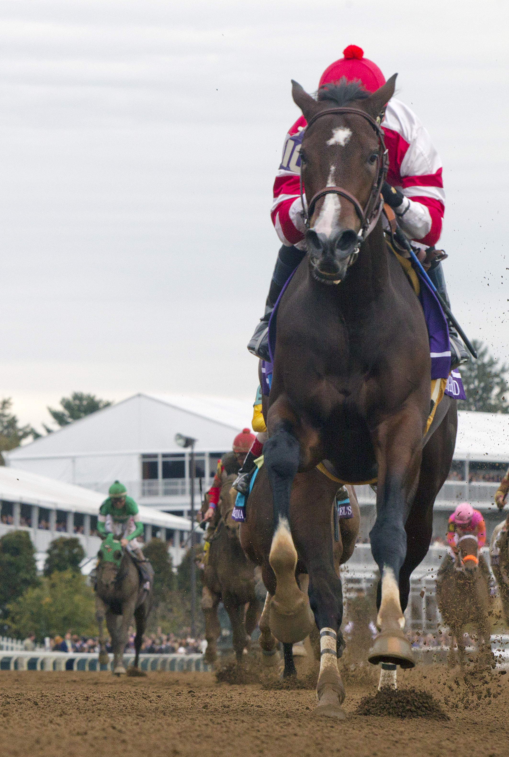 Songbird wins the Breeders' Cup Juvenile Fillies