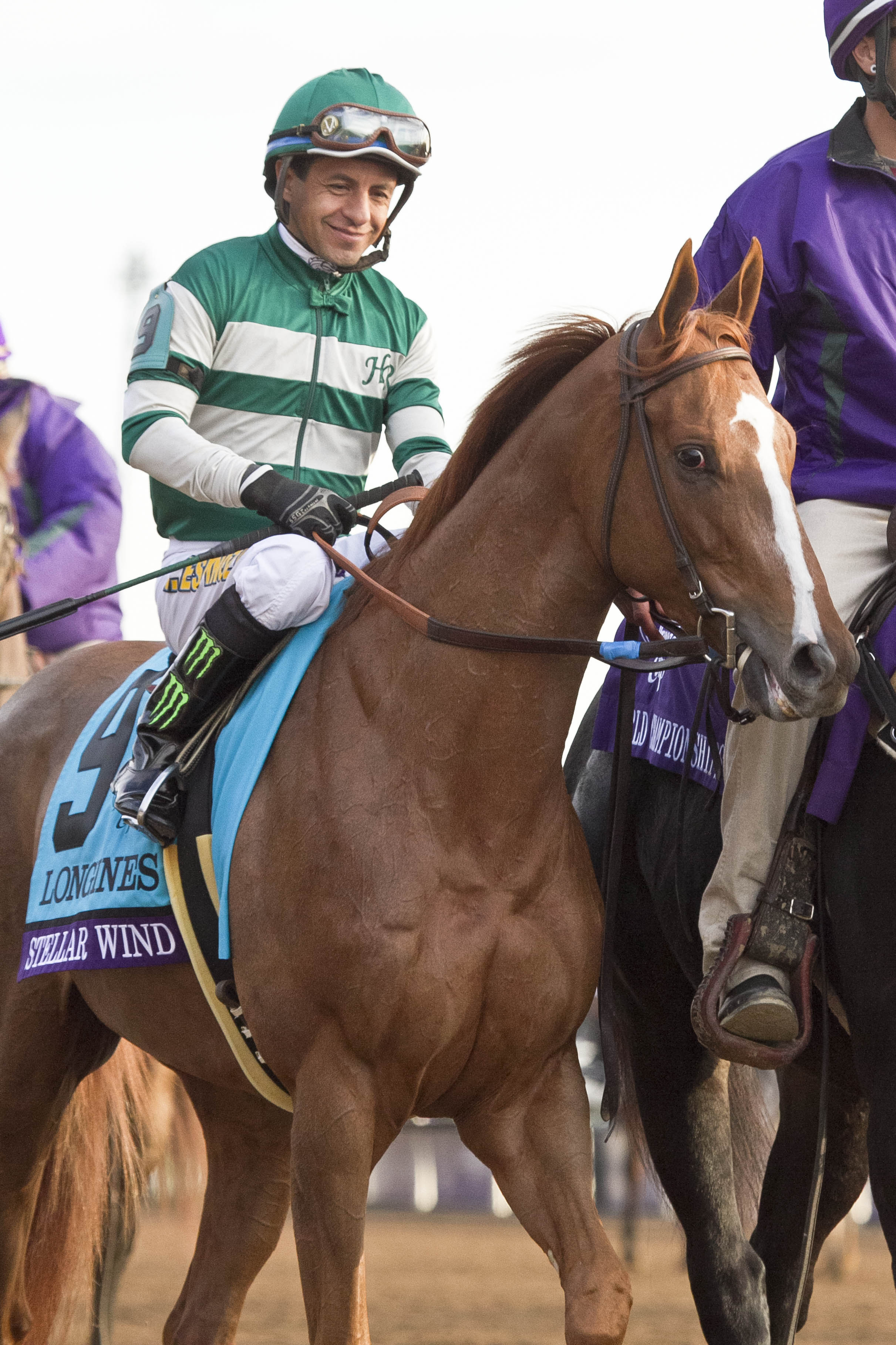 Stellar Wind