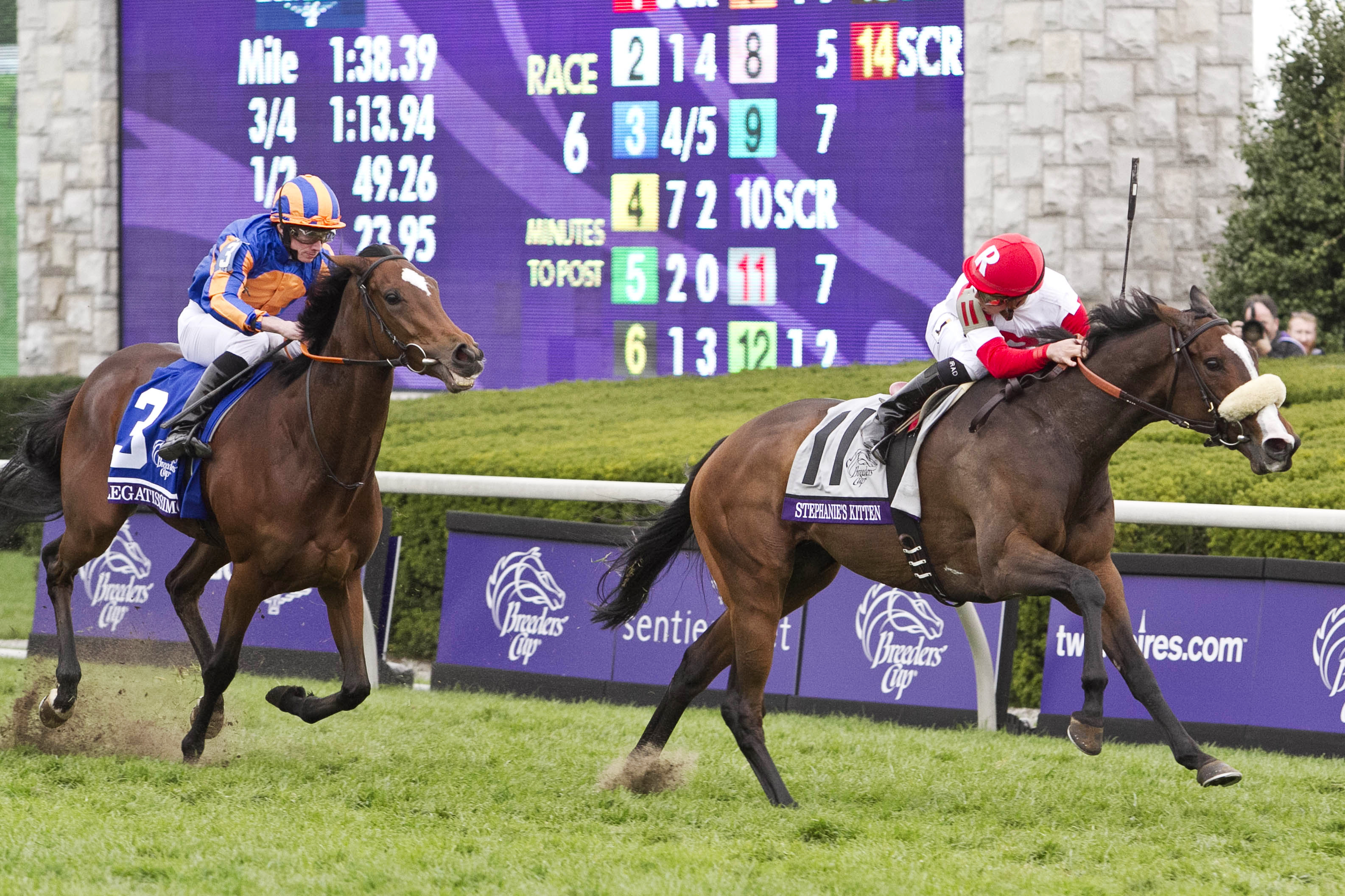 Stephanie's Kitten wins the Breeders' Cup Filly and Mare Turf