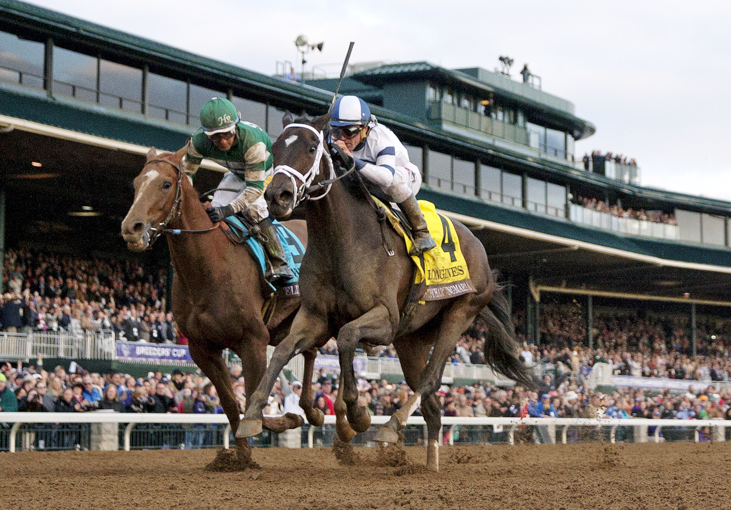 Stopchargingmaria wins the Breeders' Cup Distaff