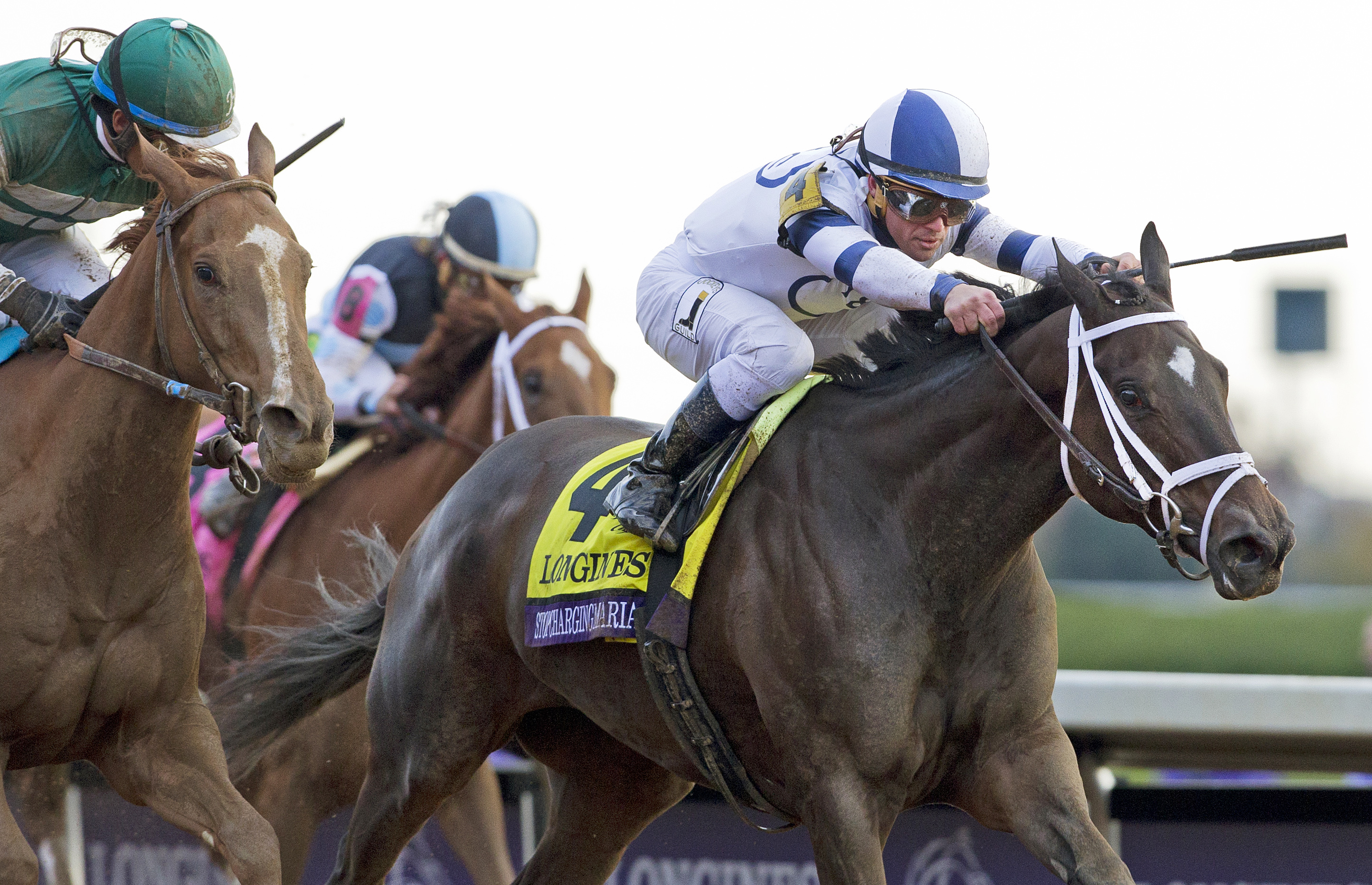 Stopchargingmaria wins the 2015 Breeders' Cup Distaff