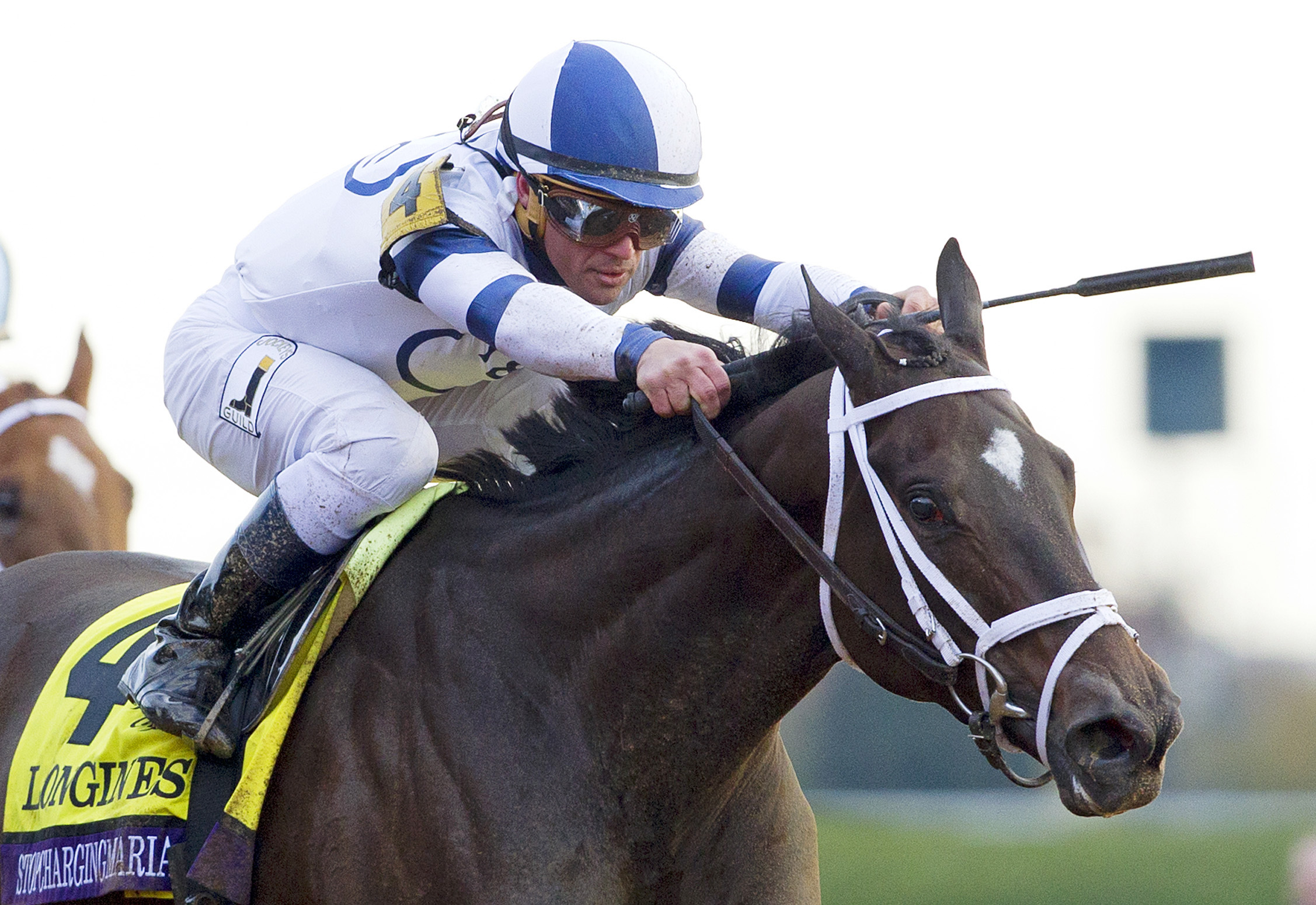 Stopchargingmaria wins the Breeders' Cup Distaff