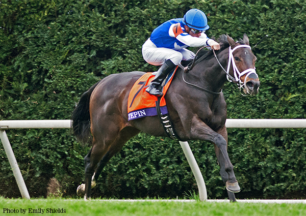 Tepin