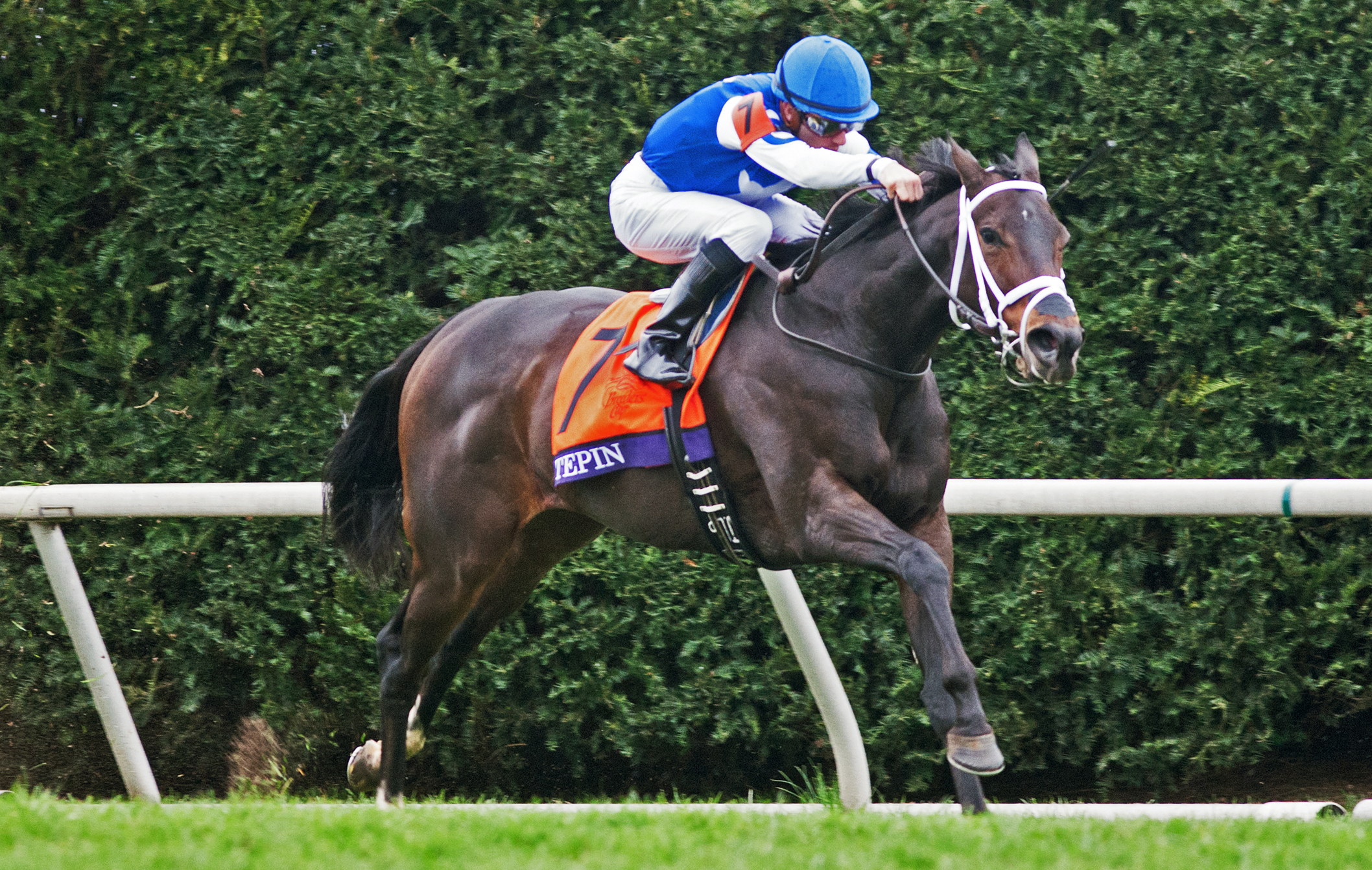Tepin wins the Breeders' Cup Mile