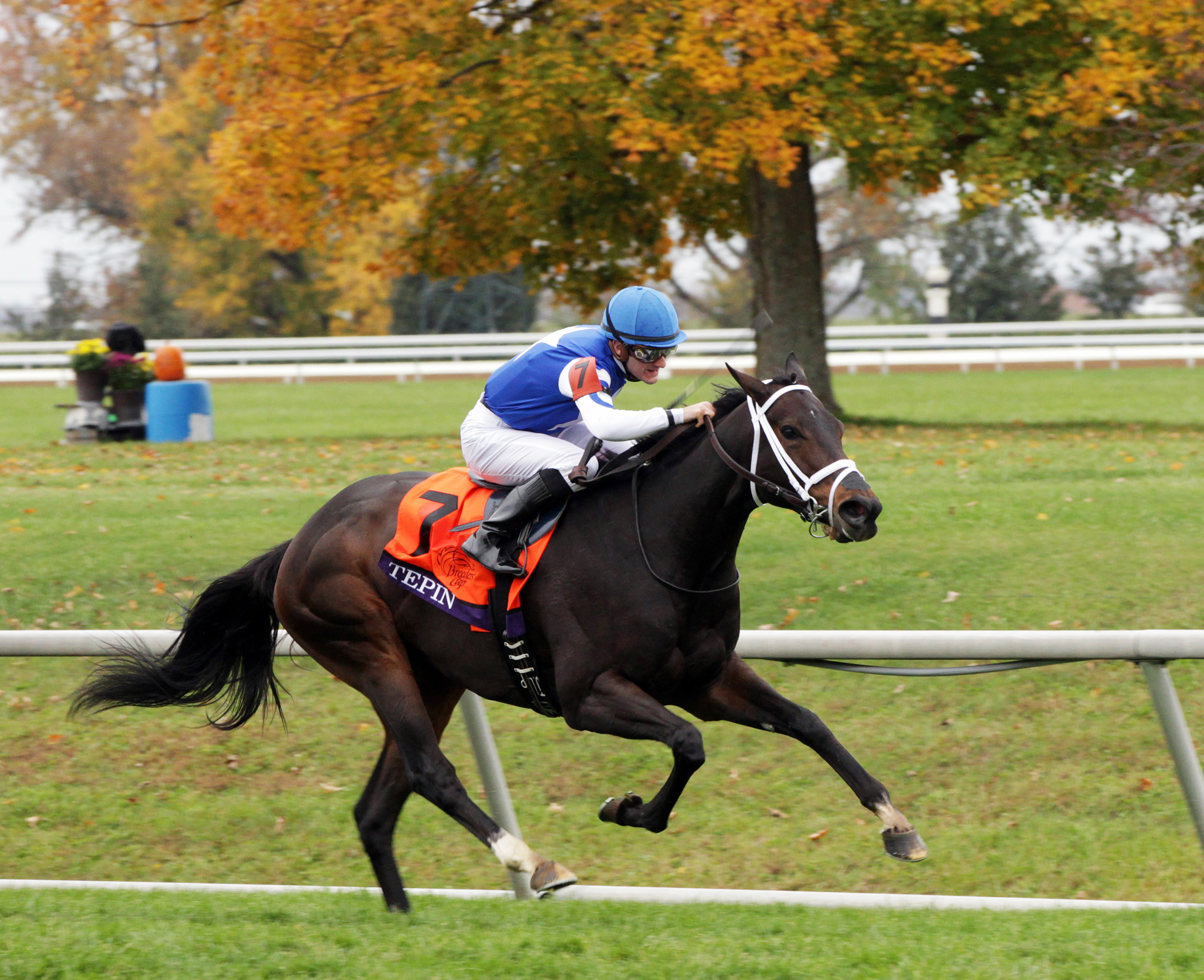 Tepin wins the Breeders' Cup Mile