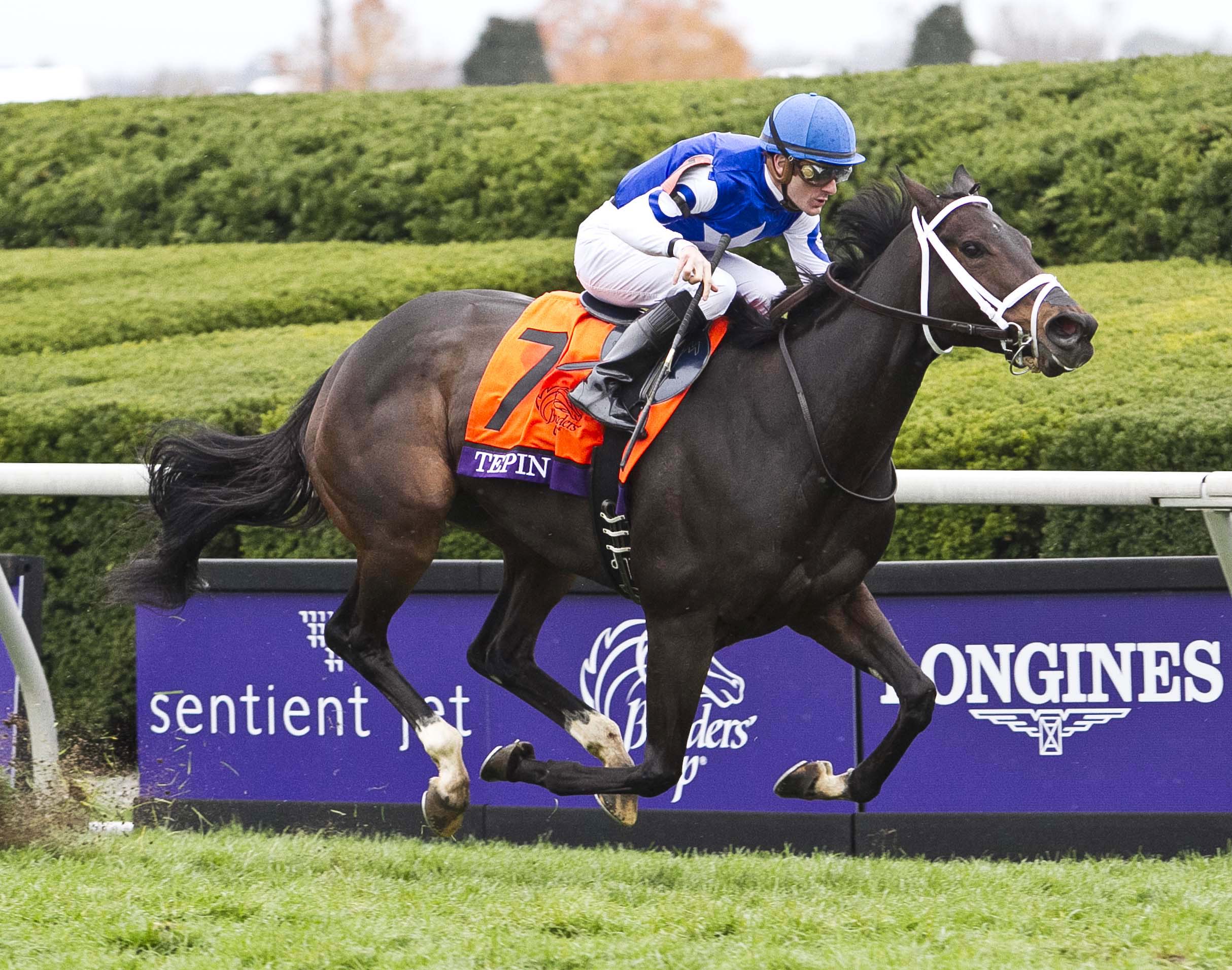 Tepin wins the Breeders' Cup Mile