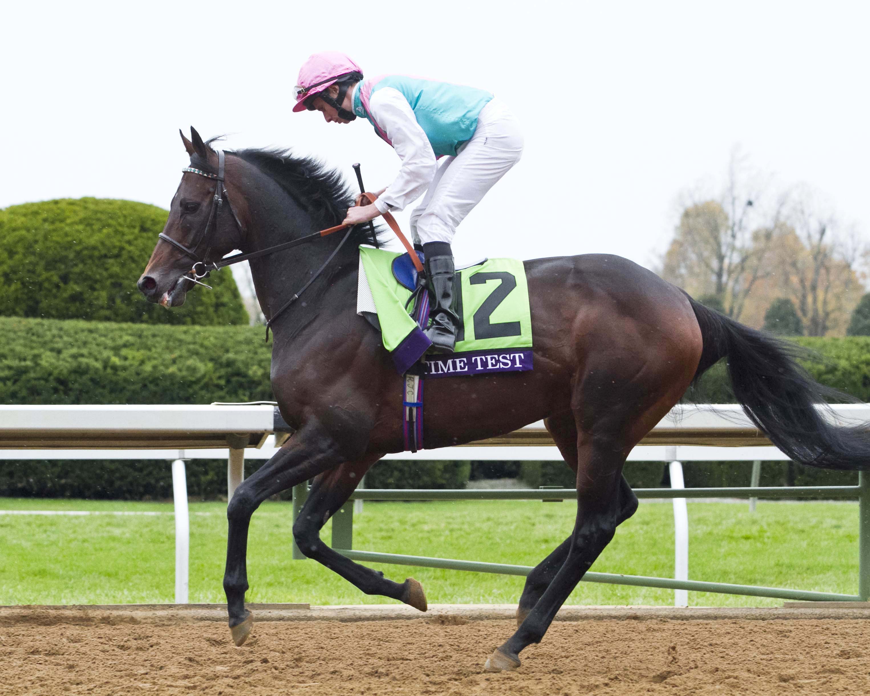 Time Test finishes 10th in the Breeders' Cup Mile