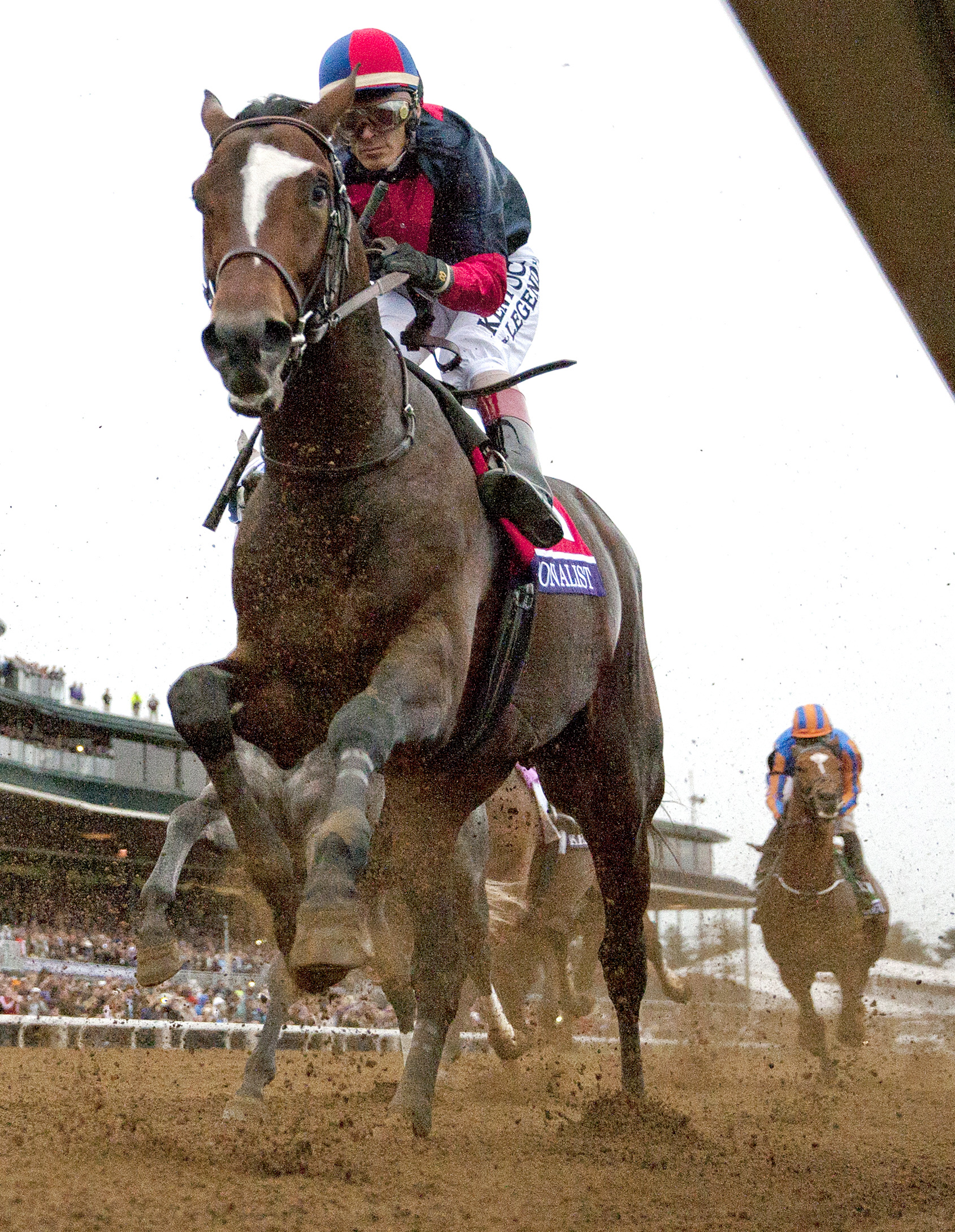 Tonalist finishes fifth in the Breeders' Cup Classic
