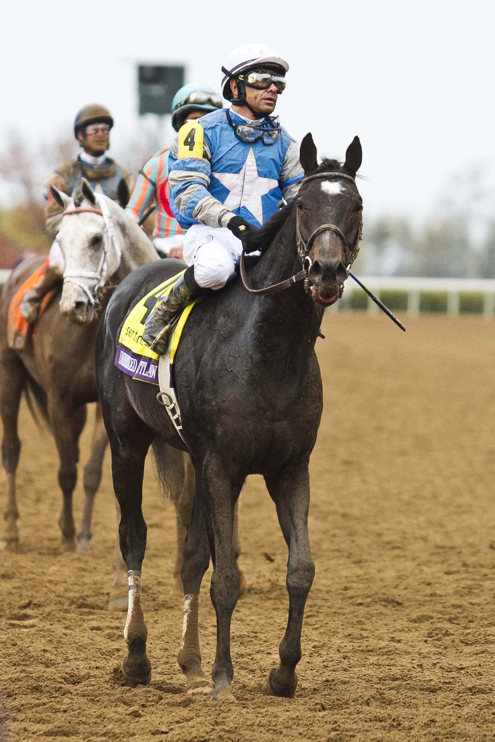Unbridled Outlaw at the 2015 Breeders' Cup Juvenile