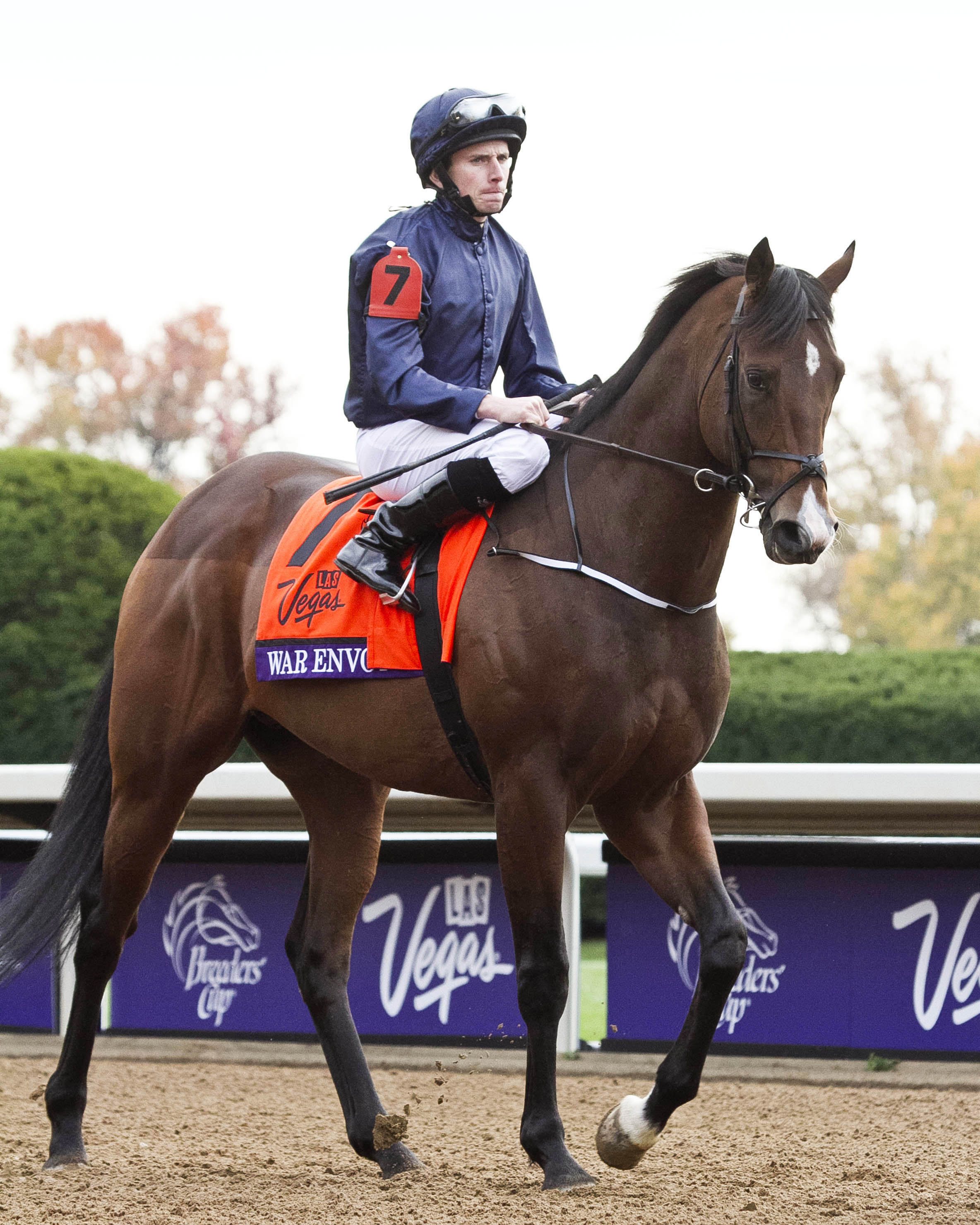 War Envoy at the Breeders' Cup Dirt Mile