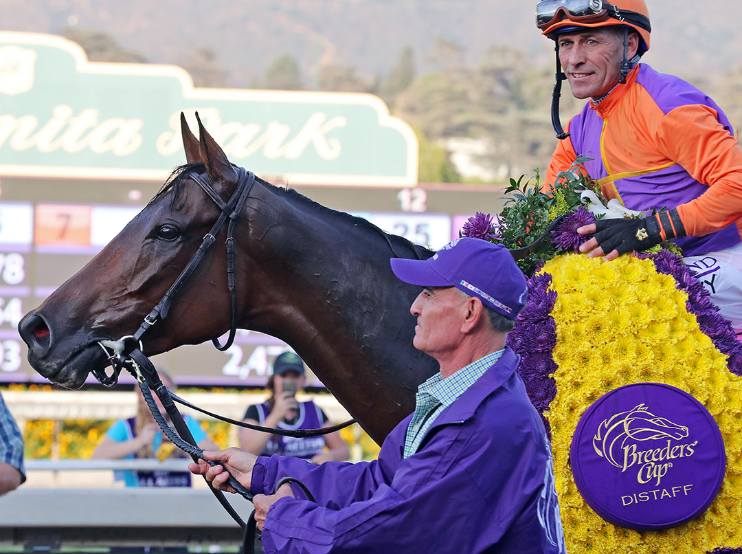 Beholder after winning the 2016 Breeders' Cup Distaff at Santa Anita