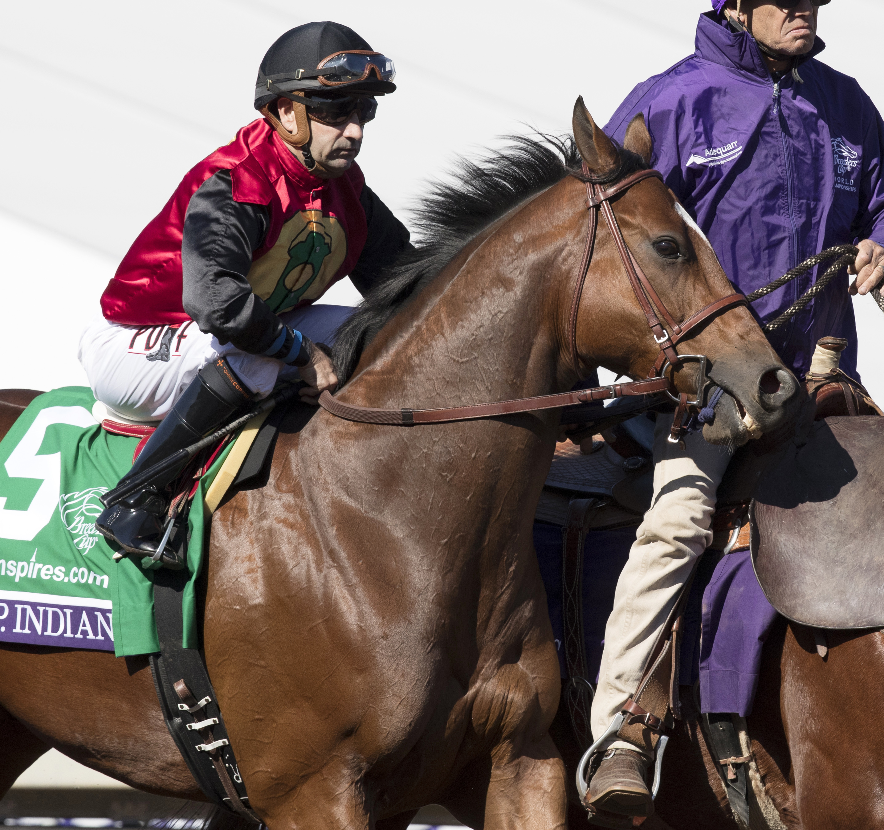 No Dozing fires bullet workout for Tampa Bay Derby