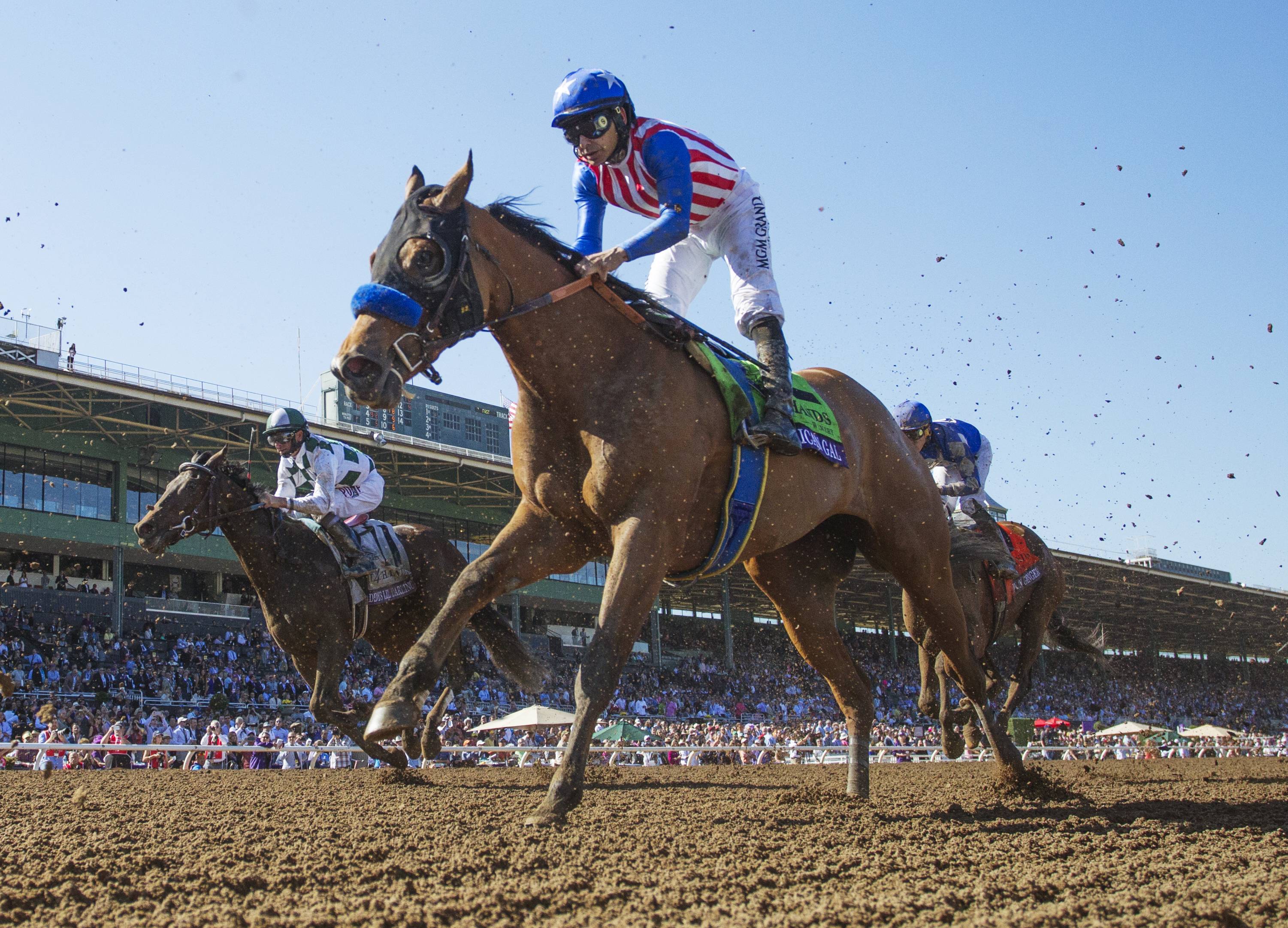 American Gal finishes third in the Breeders' Cup Juvenile Fillies