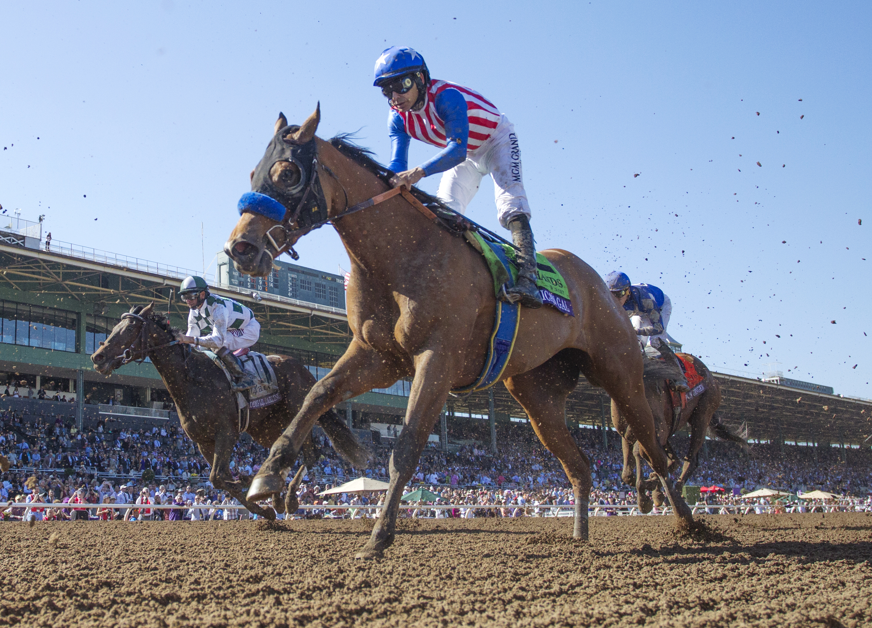 American Gal finishes third in the Breeders' Cup Juvenile Fillies