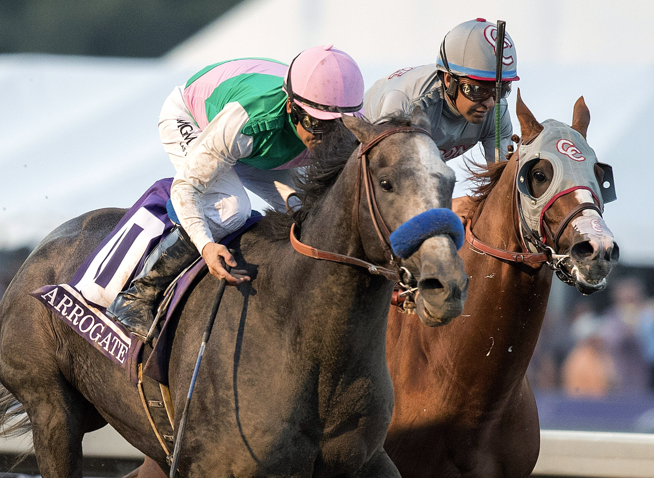 Arrogate wins the Breeders' Cup Classic