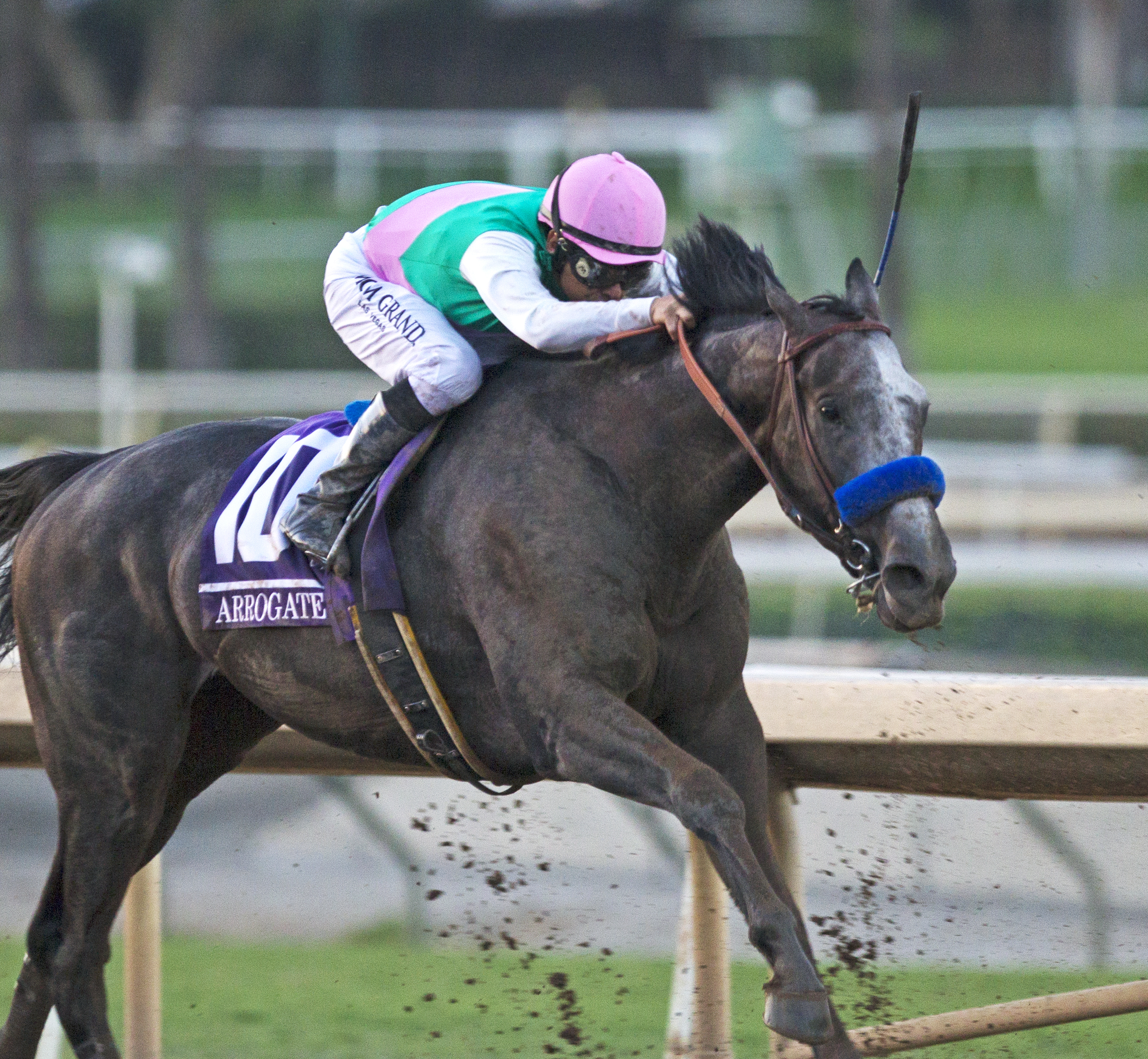 Arrogate wins the Breeders' Cup Classic