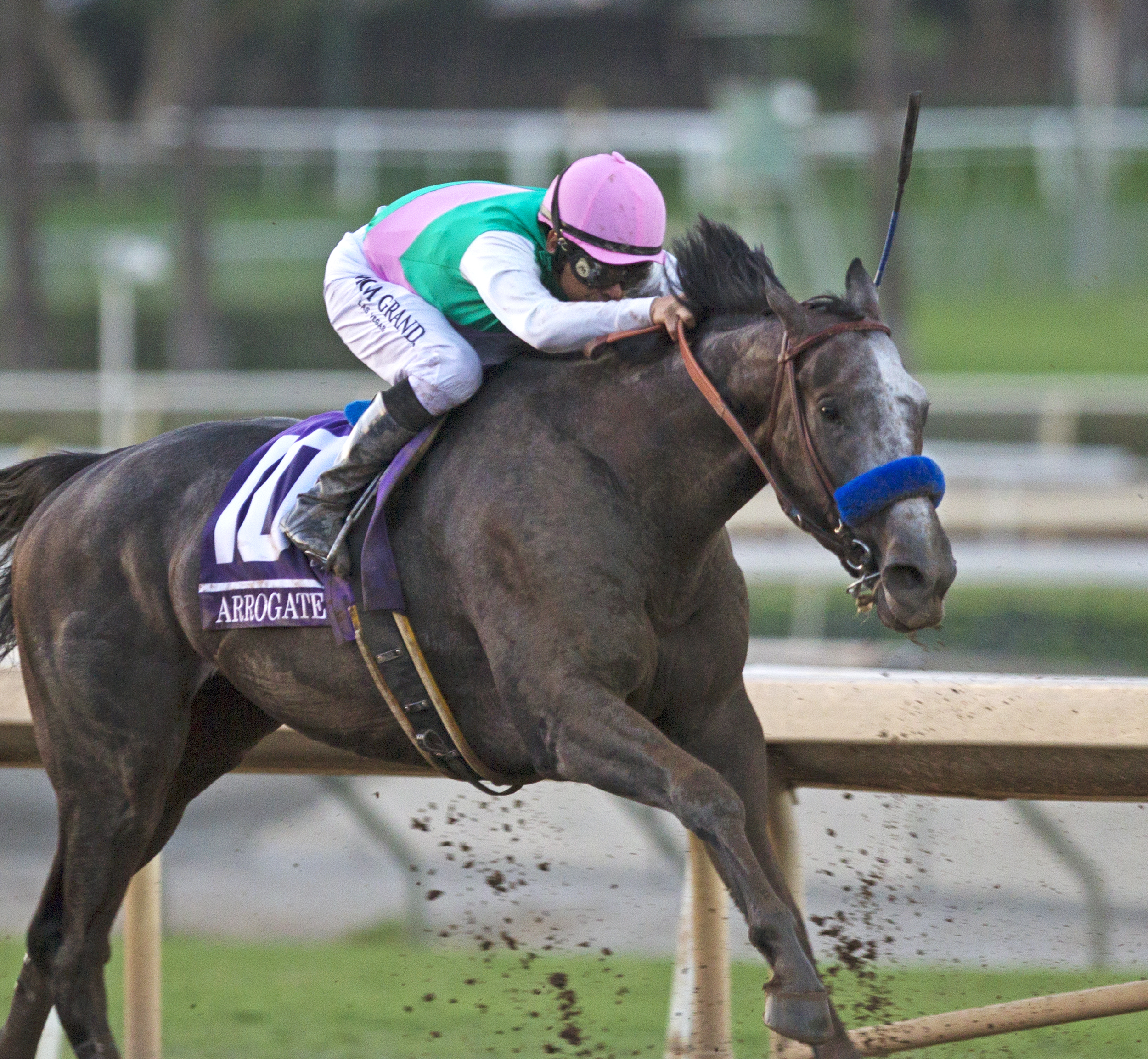Arrogate wins the Breeders' Cup Classic