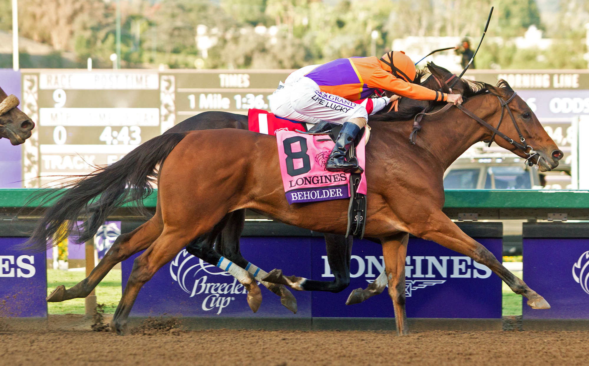 Beholder wins the Breeders' Cup Distaff