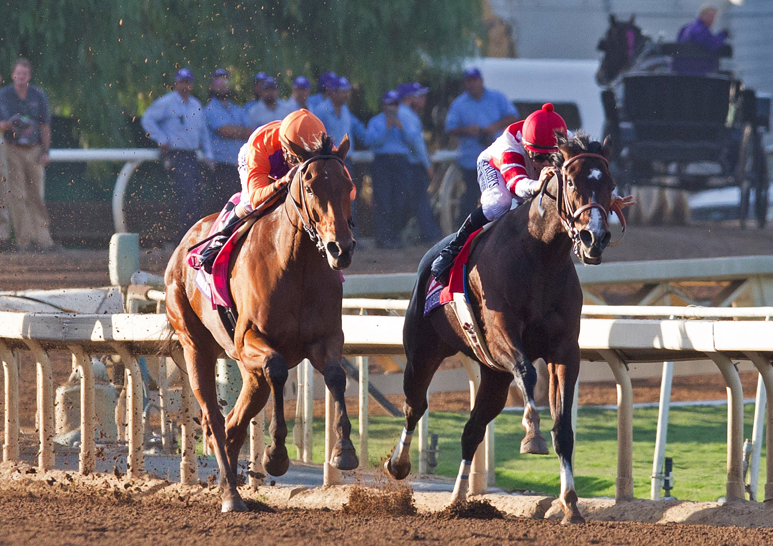 Beholder wins the Breeders' Cup Distaff