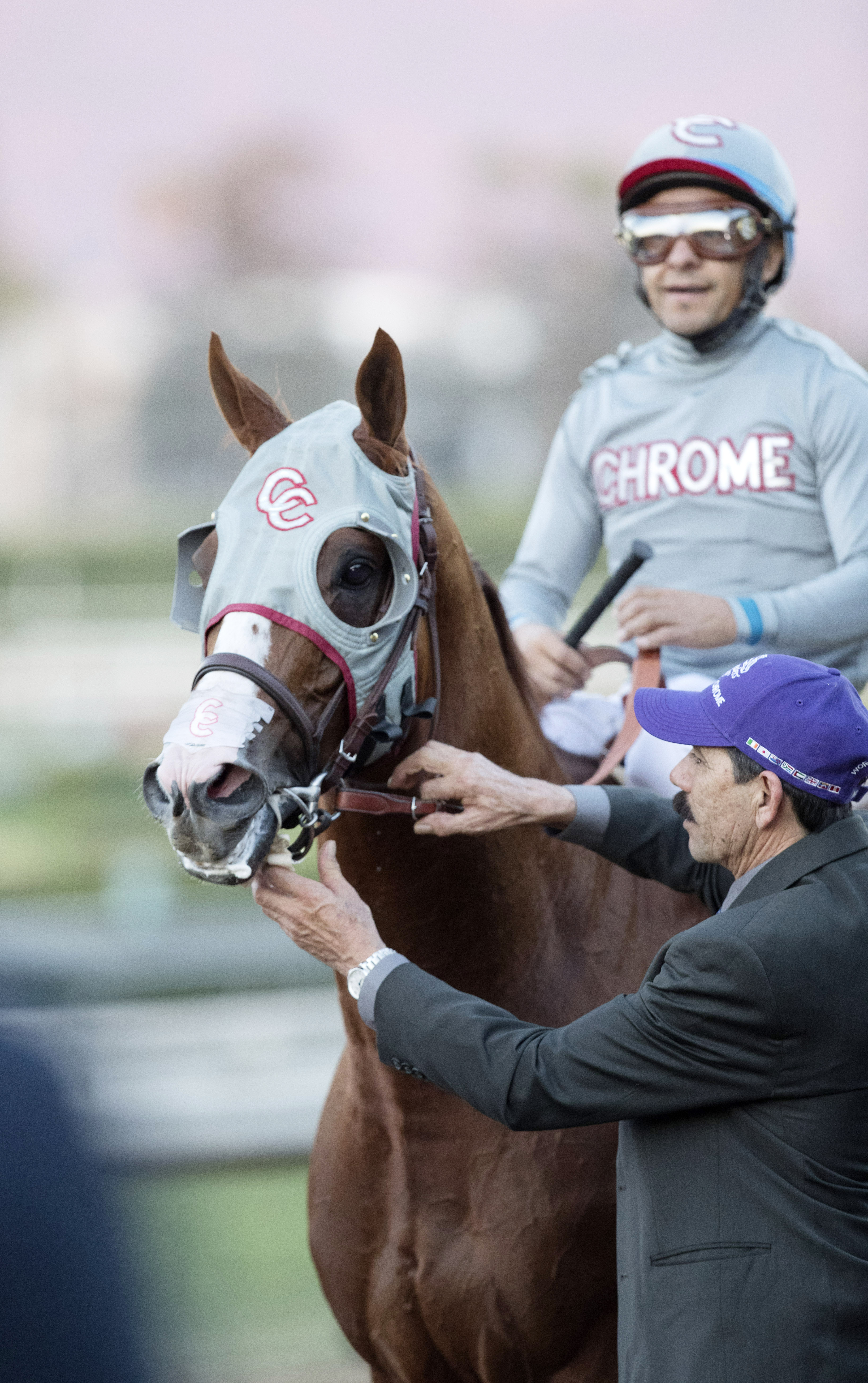 California Chrome at the Breeders' Cup Classic
