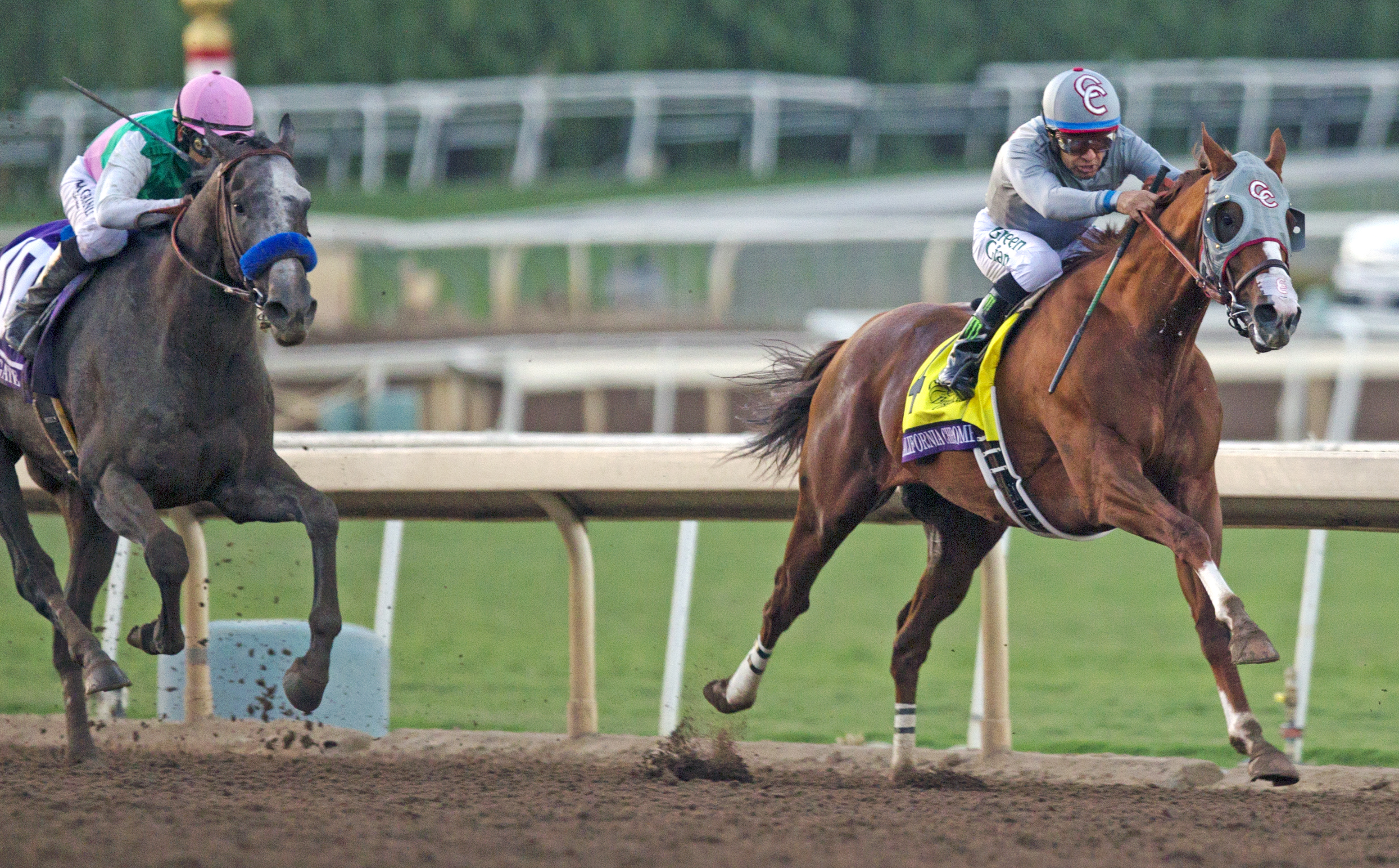 California Chrome finishes second in the Breeders' Cup Classic
