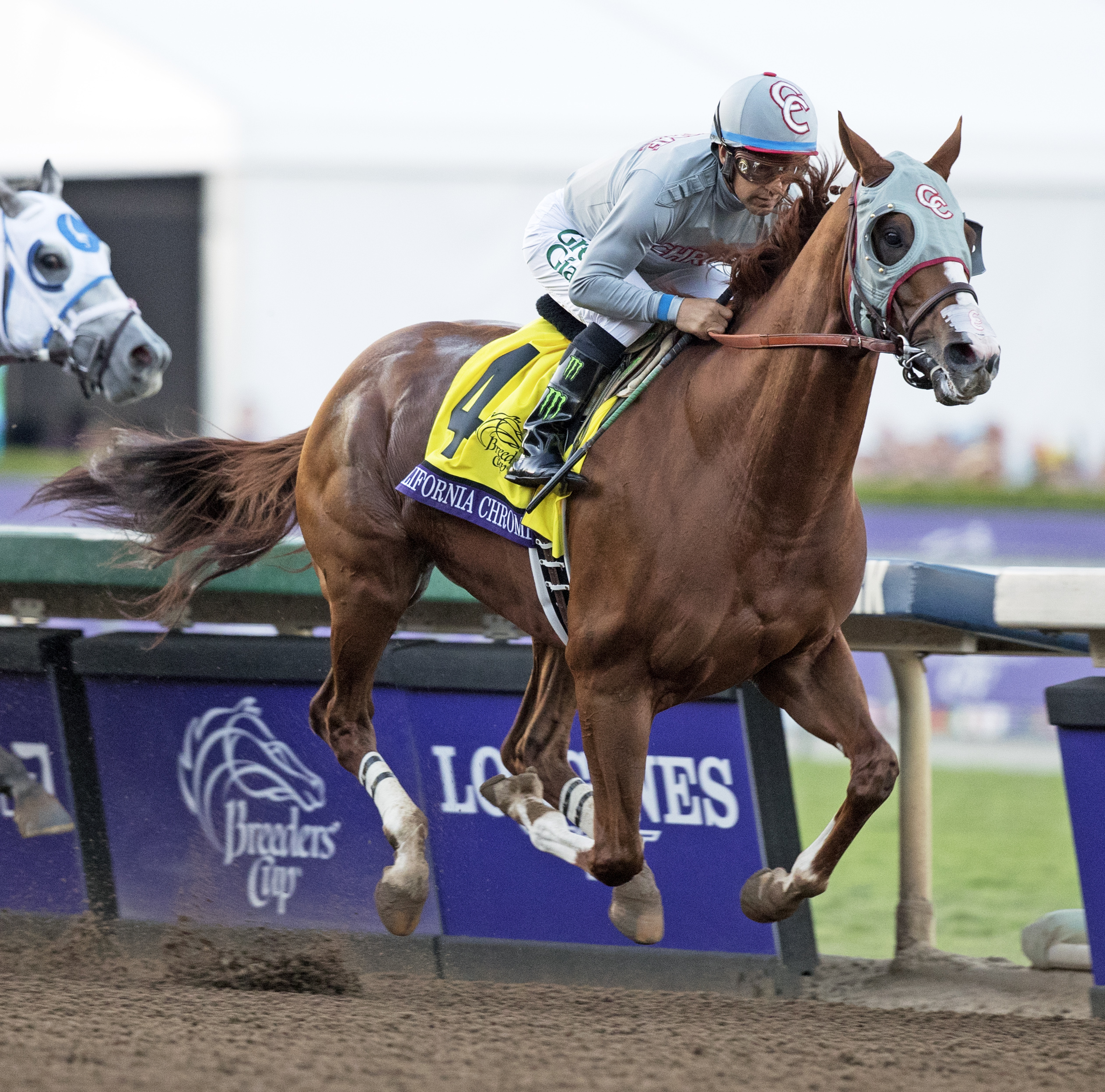 California Chrome finishes second in the Breeders' Cup Classic